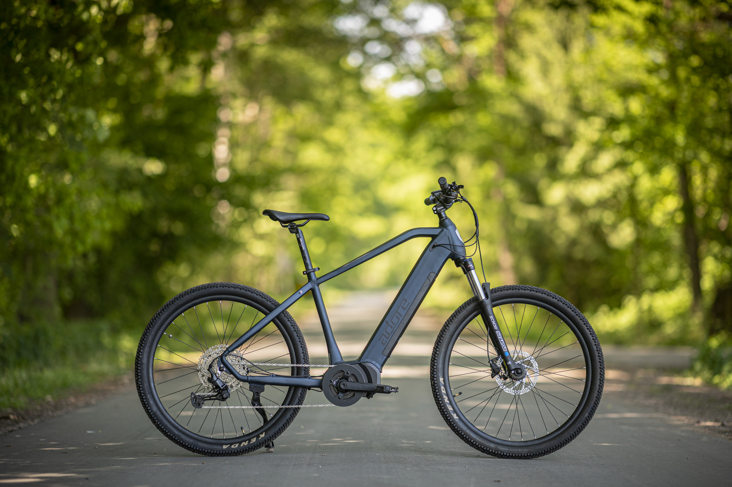 Ein blaues E-Bike auf einer asphaltierten Straße. Grüne Bäume bilden einen Bogen im Hintergrund. Das Fahrrad hat einen schwarzen Rahmen.