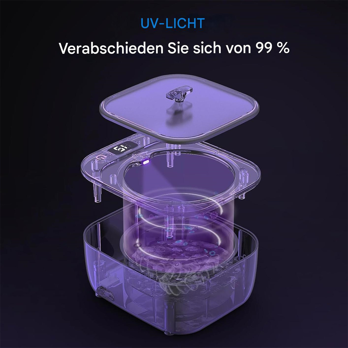 UV-Sterilisator-Innenraum, der violettes Licht und zu sterilisierende Gegenstände zeigt.