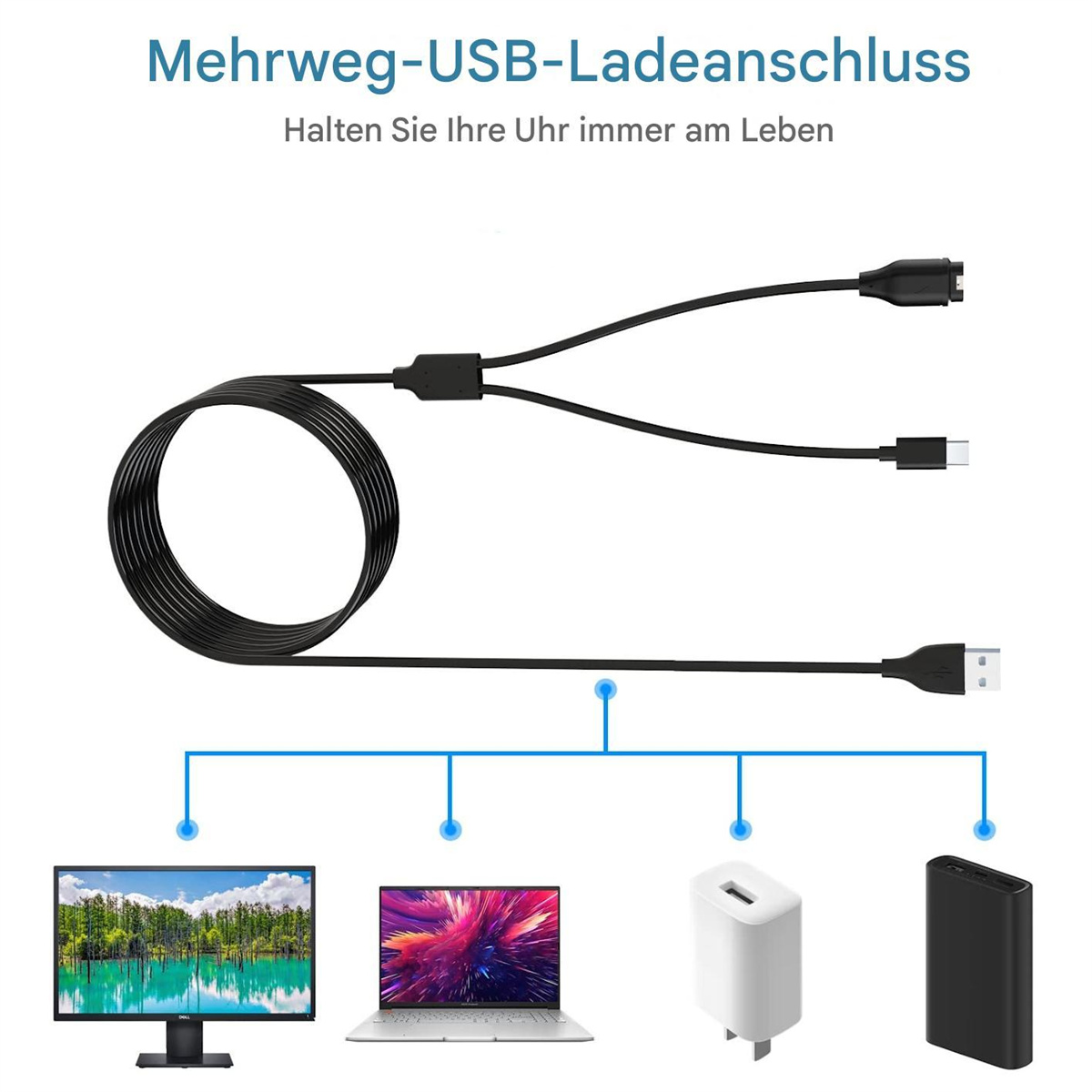 Ein Ladekabel mit mehreren Enden. Display, Laptop, Stecker und Powerbank sind angeschlossen.