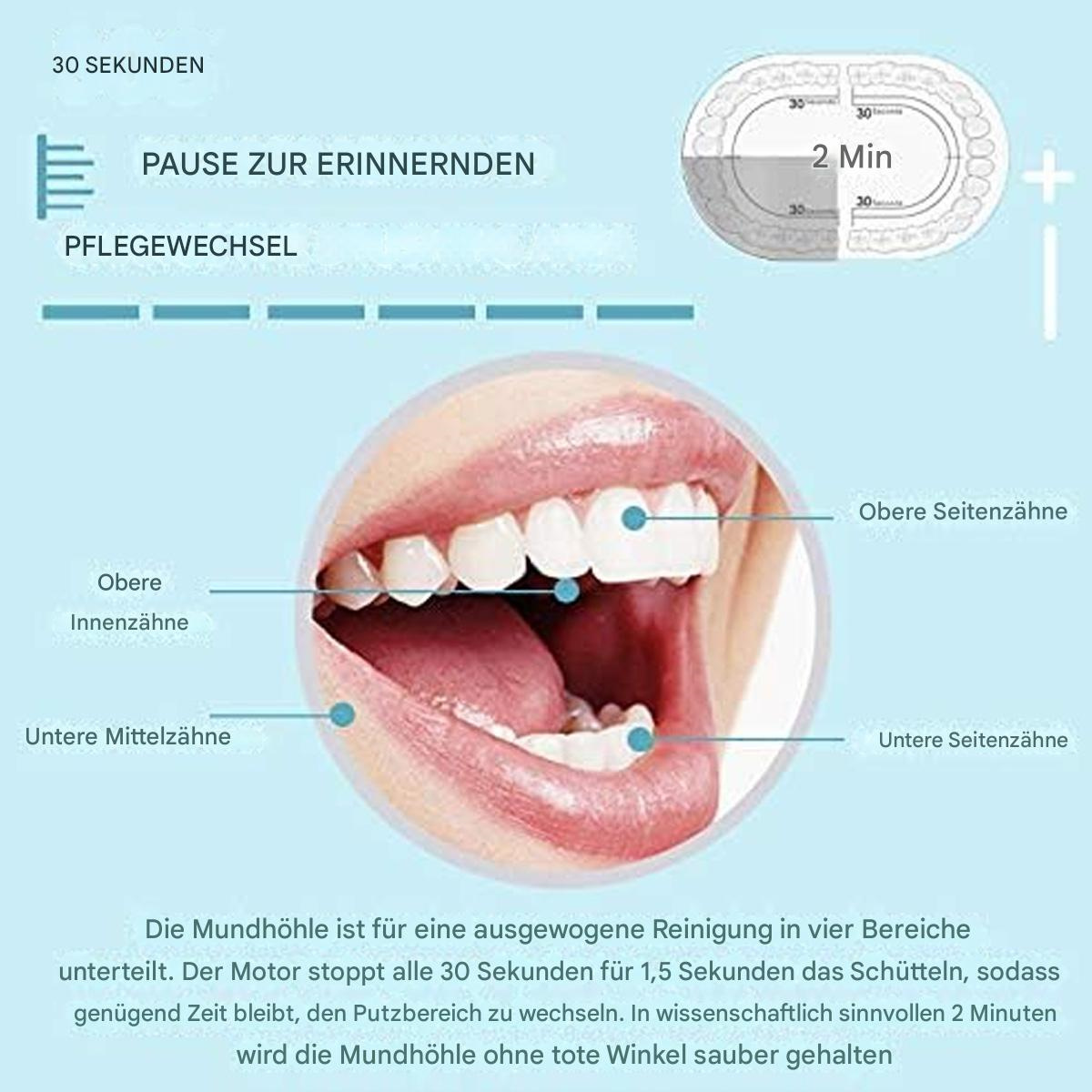 Diagramm eines Mundes mit beschrifteten Zähnen und Pfeilen, sowie Text auf Deutsch.