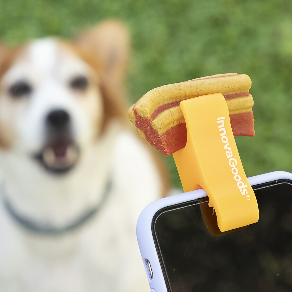 Un cane guarda un telefono con il logo InnovaGoods.