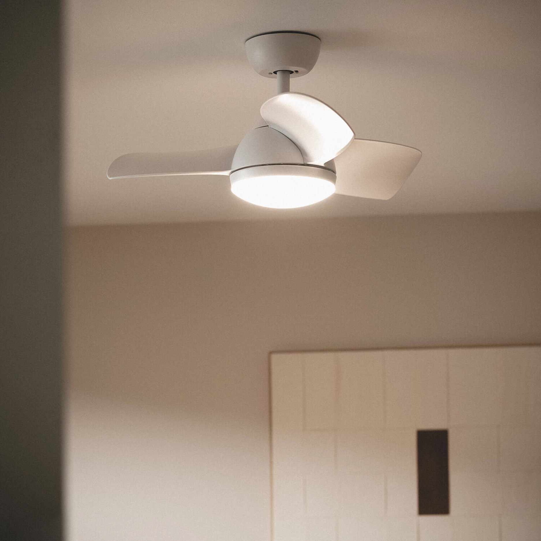 Ventilatore da soffitto con tre pale e una luce, montato su un soffitto bianco, stanza illuminata.