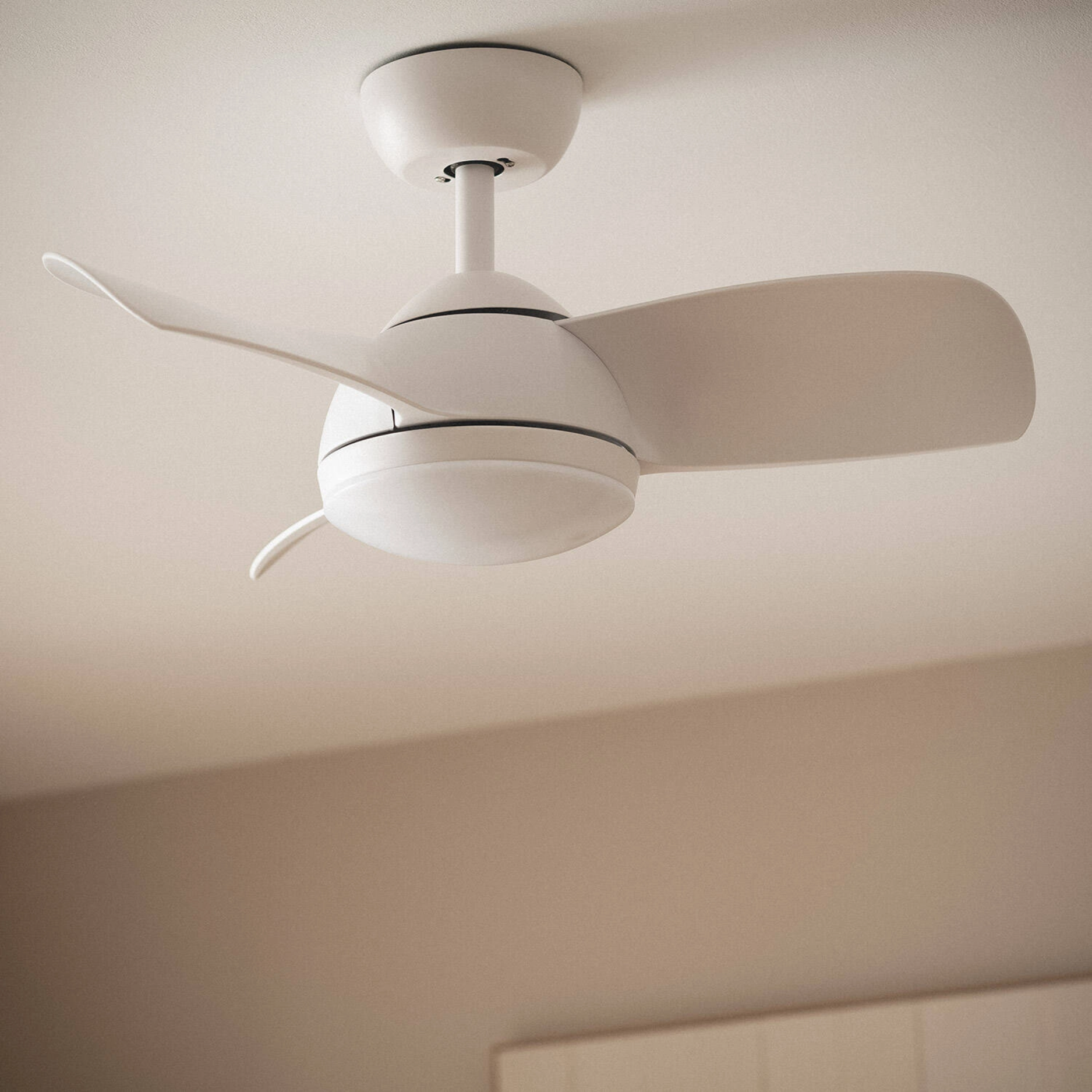 Ventilatore da soffitto bianco con tre pale. Lo sfondo è marrone chiaro. Le pale sono curve.
