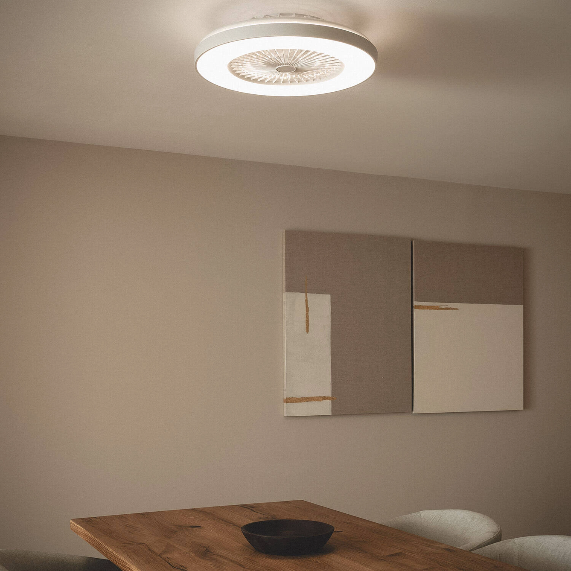 Ventilatore da soffitto con luce, montato sul soffitto. Due dipinti, tavolo con ciotola sono visibili.