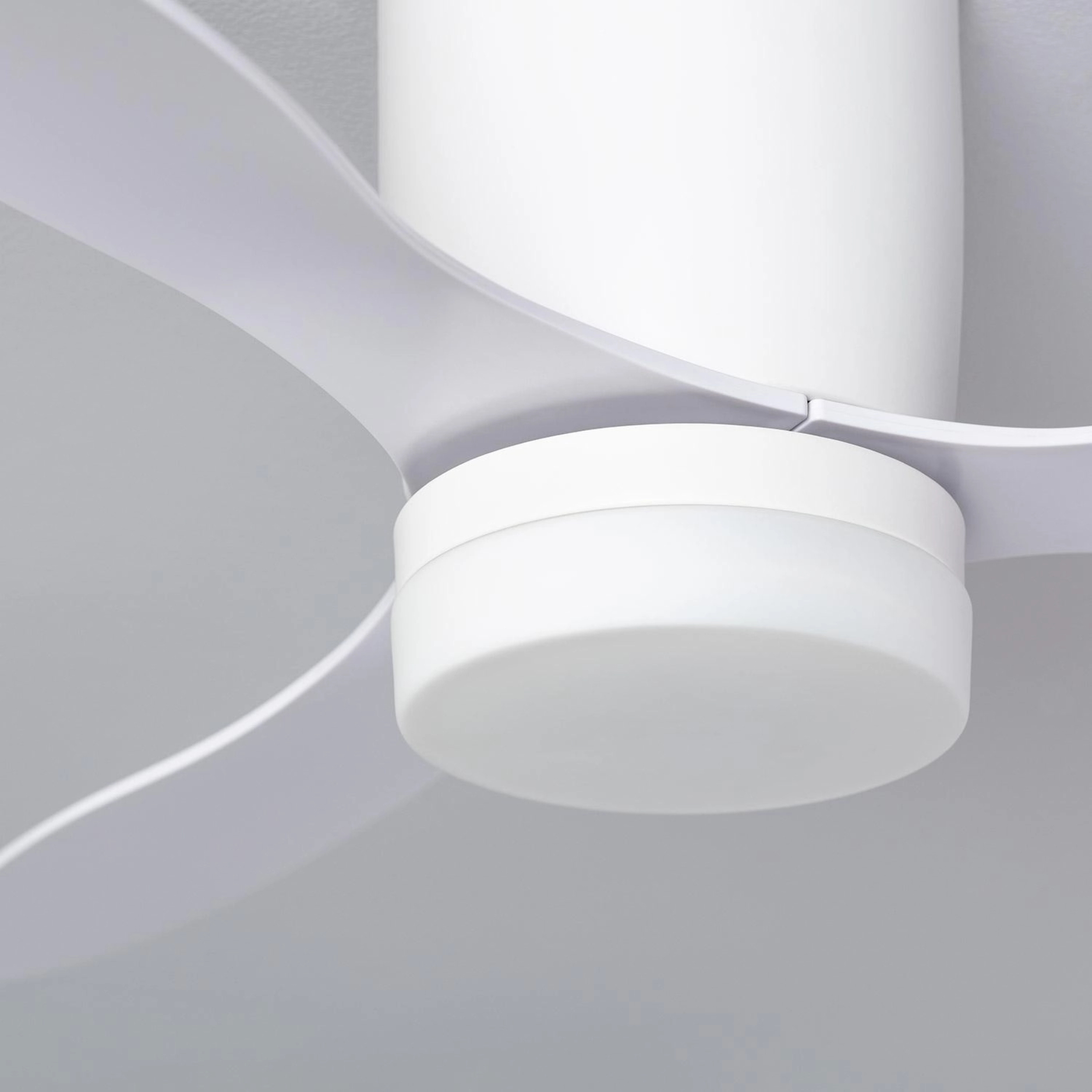 Primo piano di un ventilatore da soffitto bianco. Le pale si incurvano dalla luce centrale. Lo sfondo è un soffitto grigio chiaro.