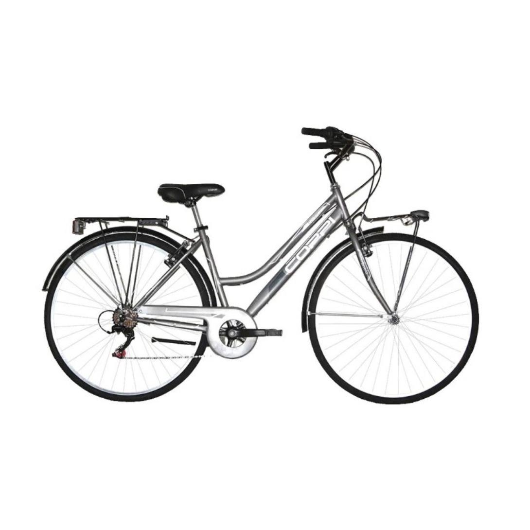 Bicicletta grigia con sella nera e portapacchi, su sfondo bianco.