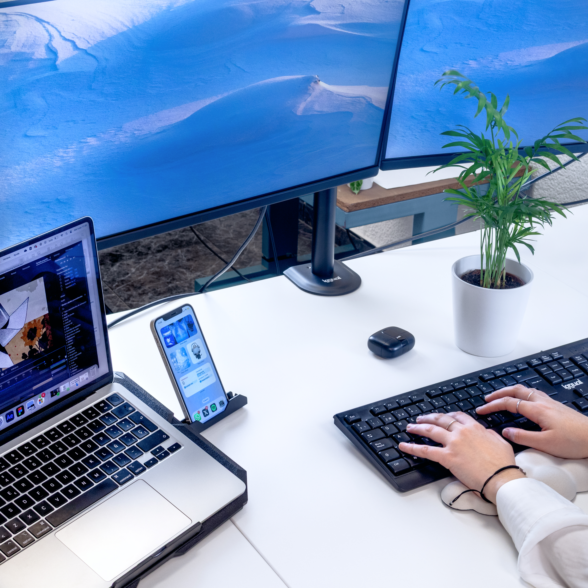 Osoba korzystająca z laptopa z dwoma monitorami, telefonem i klawiaturą. Widoczna jest również roślina i mysz.