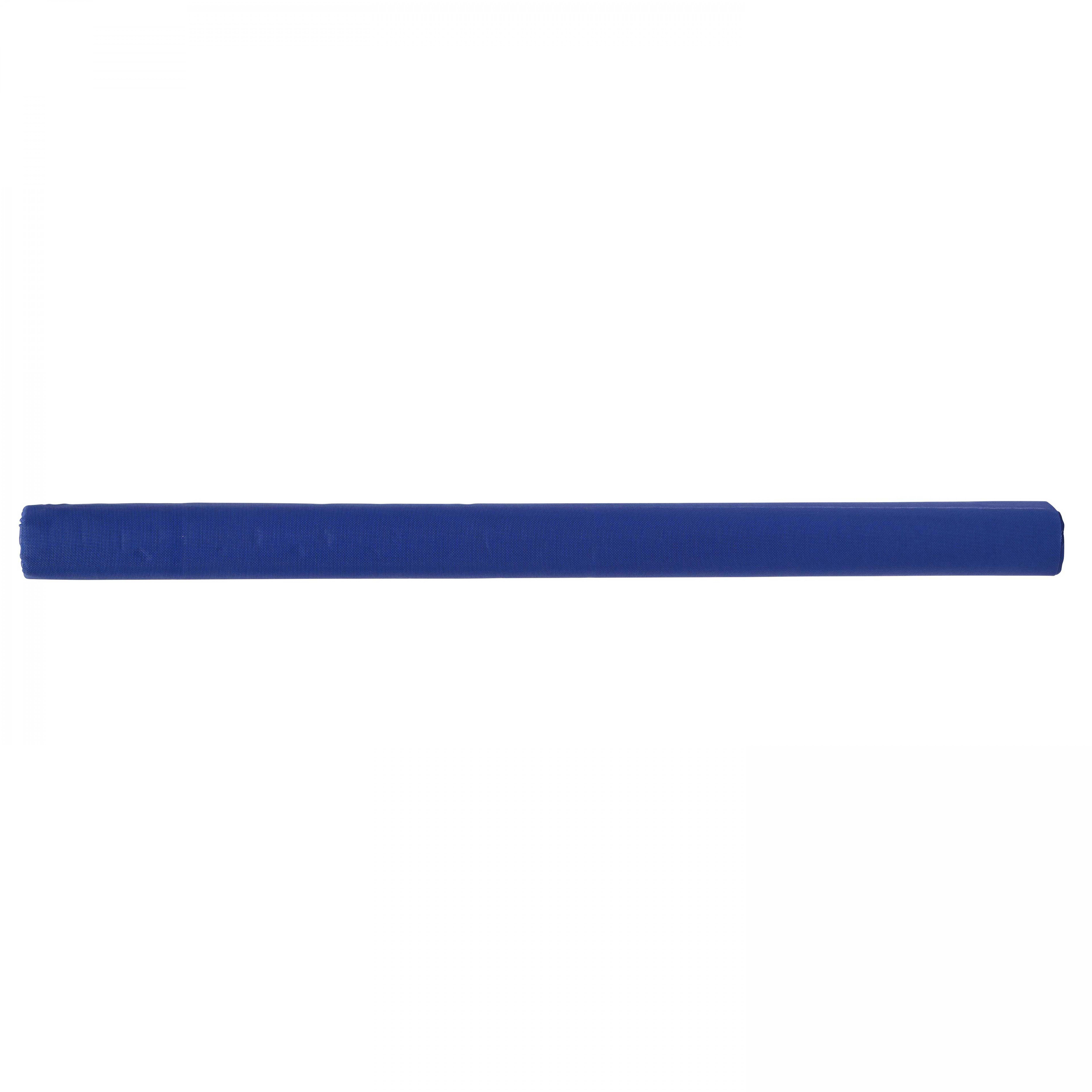 Ein langes, dünnes, blaues zylindrisches Objekt auf weißem Hintergrund.