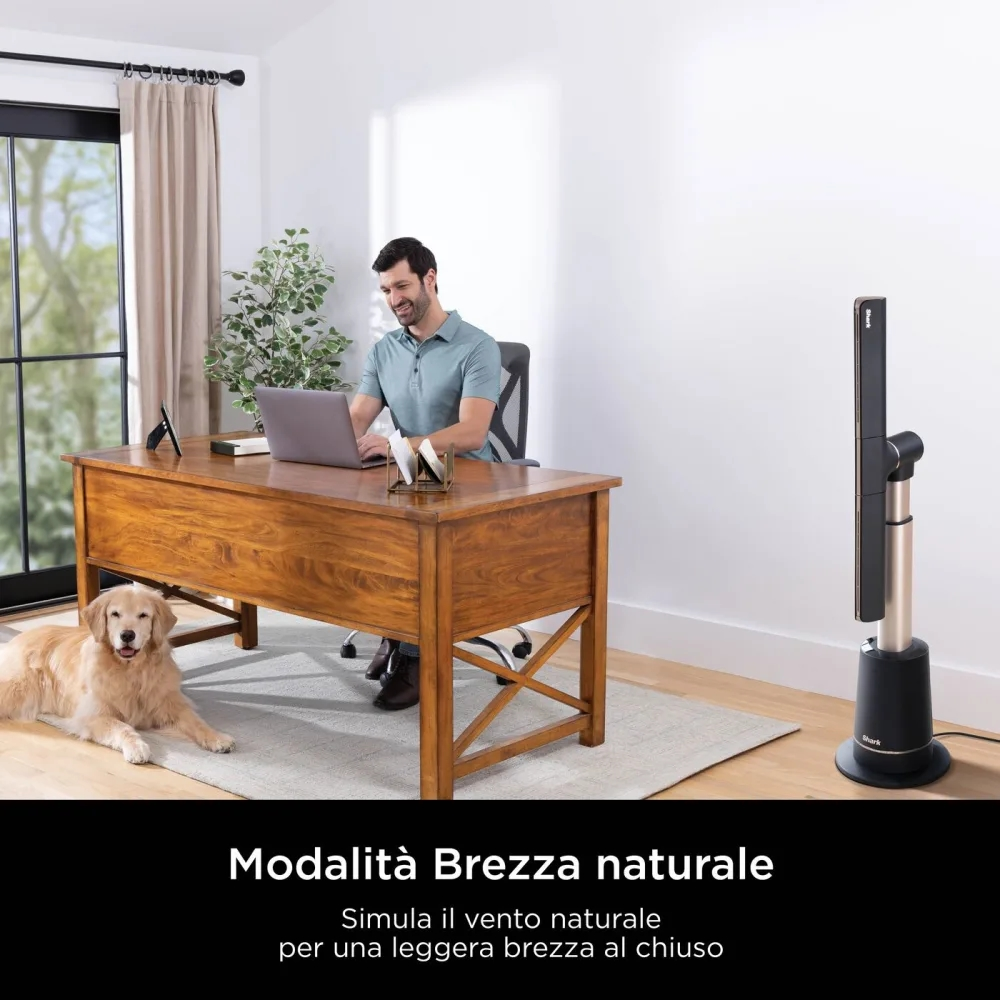 Mężczyzna pracuje na laptopie, pies leży na dywanie, nowoczesny wentylator. Słoneczny pokój z oknem.