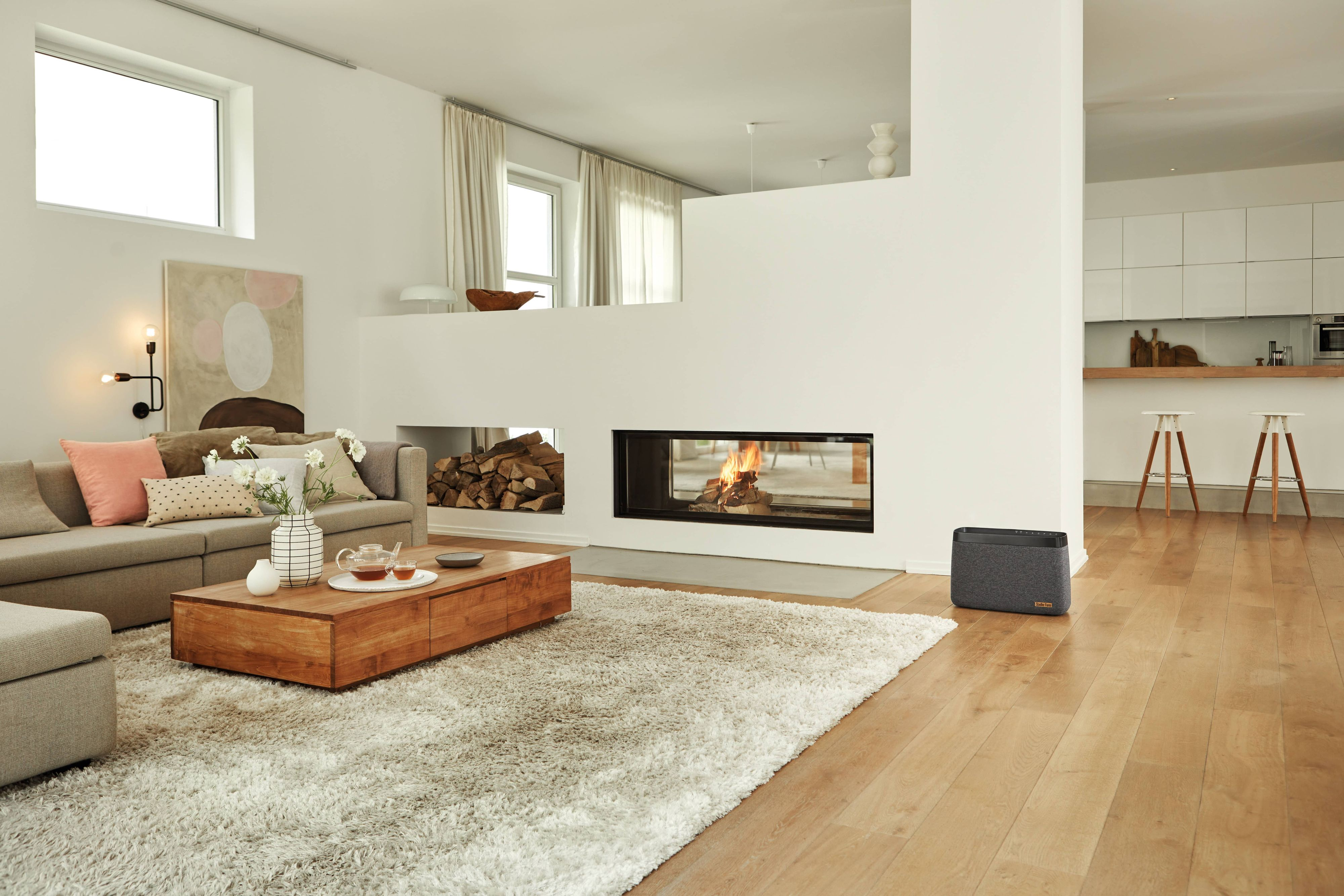 Living room with a sofa, fireplace, and a modern air purifier. Cozy setup with wooden floors and a rug.