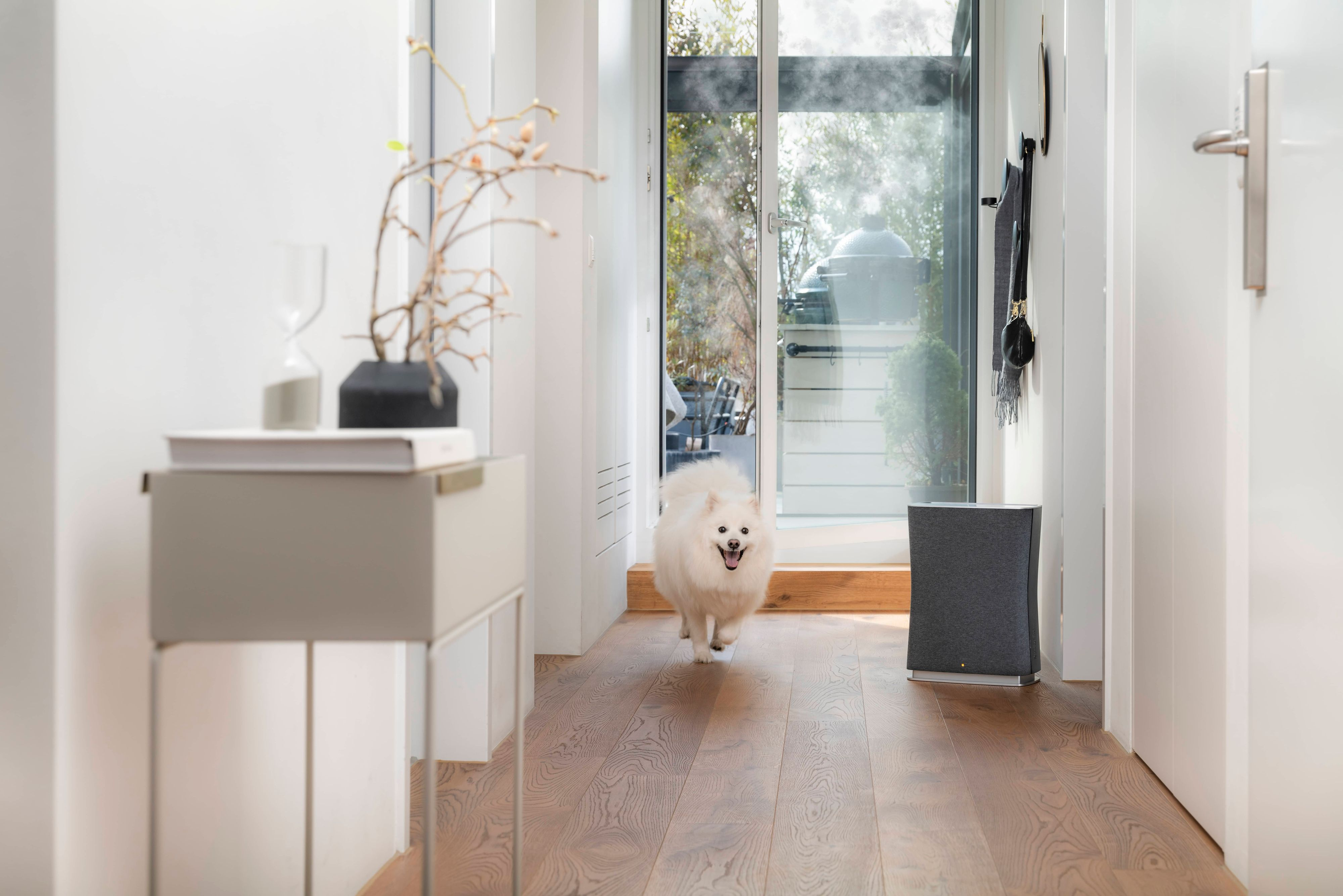 Korytarz z psem biegnącym w stronę kamery, oczyszczaczem powietrza i drzwiami.