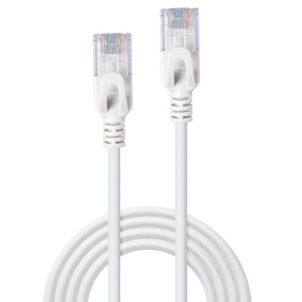 Due cavi ethernet bianchi con connettori RJ45 trasparenti, cavo arrotolato in basso.