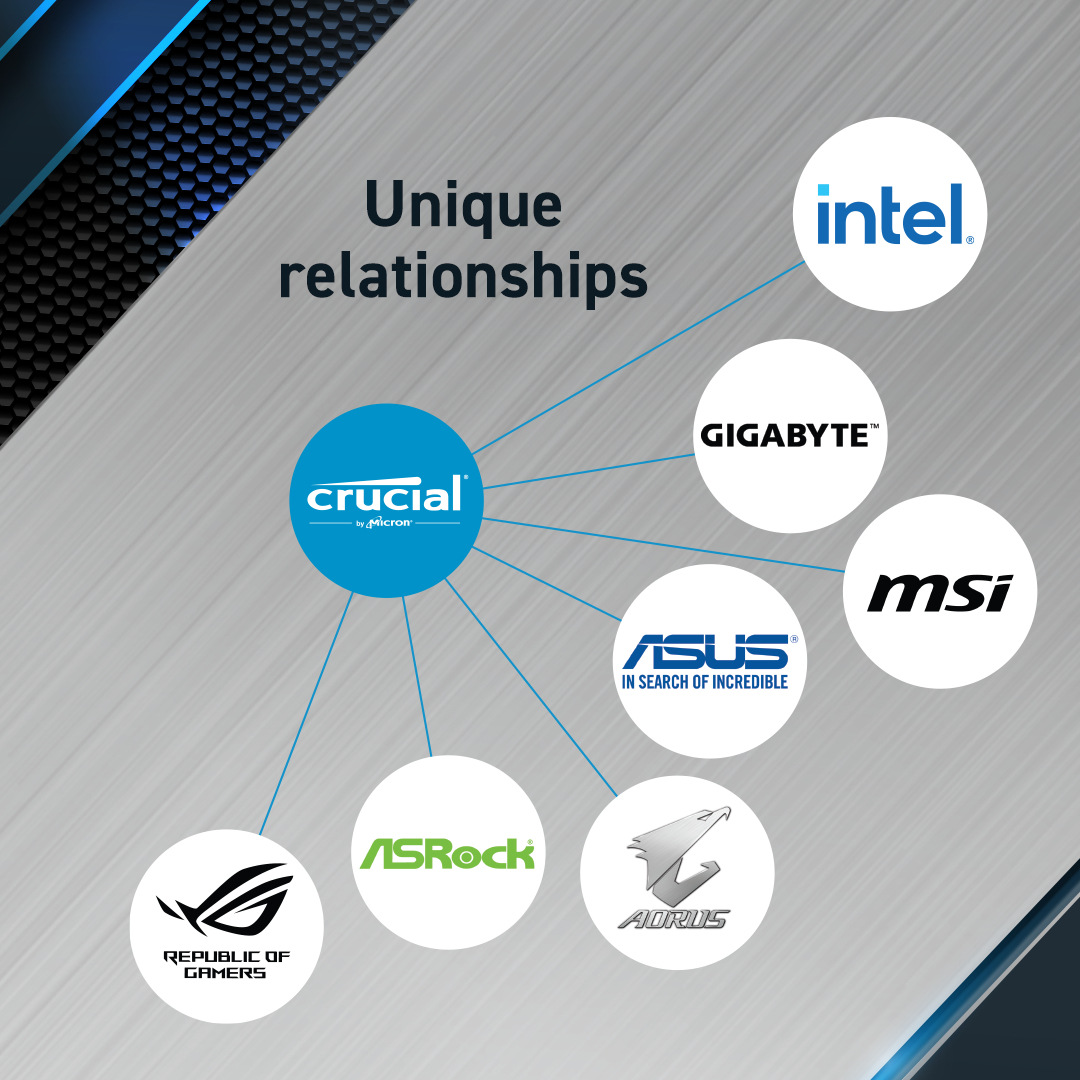 Diagram pokazujący powiązania między Crucial i Intel, Gigabyte, MSI, Asus, ASRock i Aorus.
