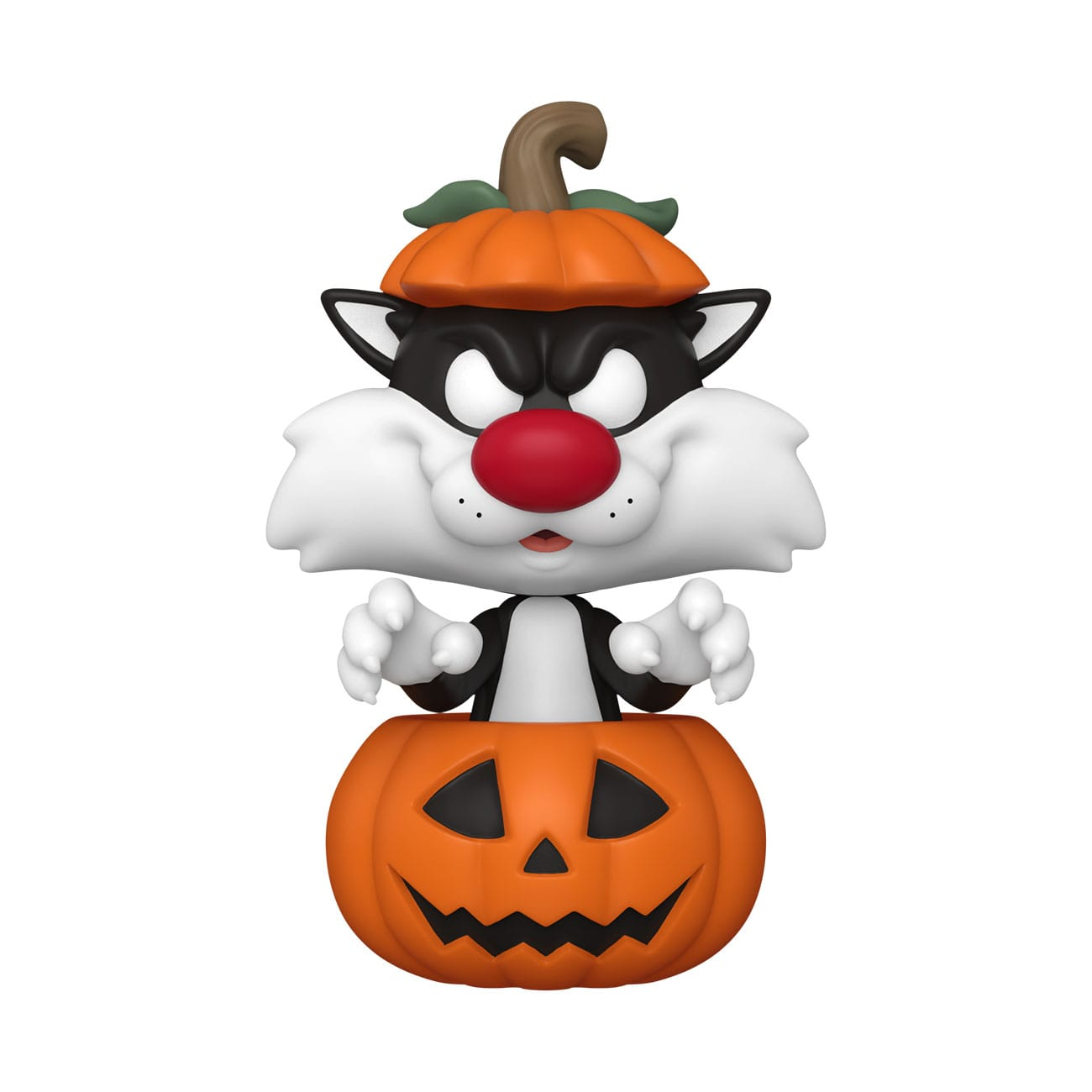 Silvestro il Gatto in una zucca di Halloween, dentro una zucca, in una scatola.