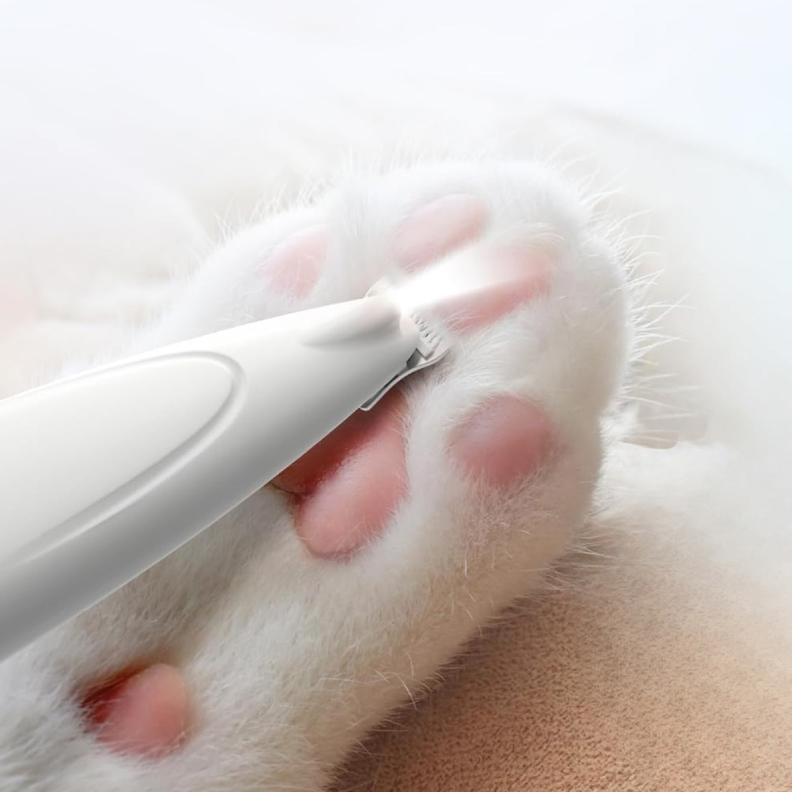 Ein weißes Pflegegerät trimmt eine Katzenpfote. Die Pfote ist rosa und weiß. Das Werkzeug ist eingeschaltet.