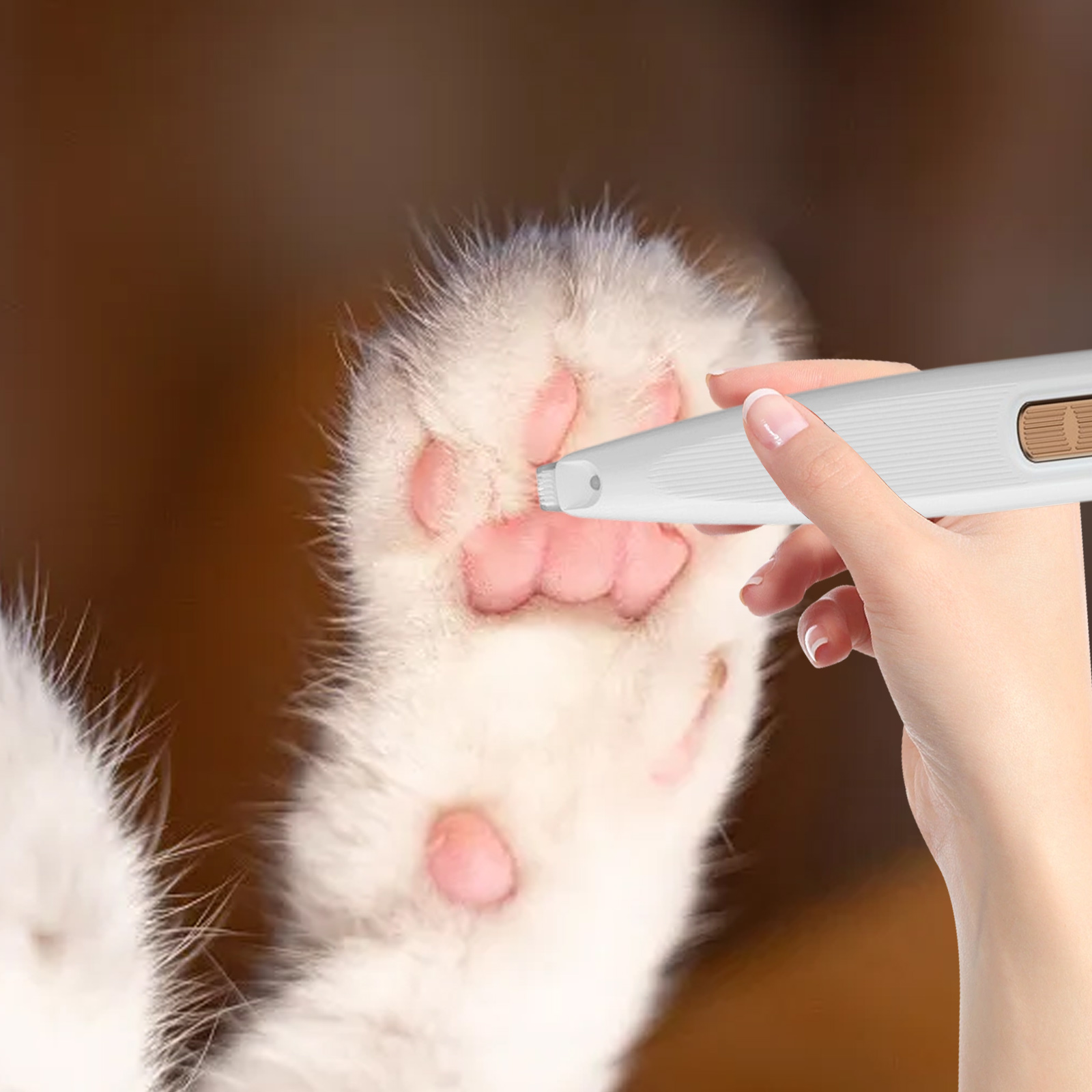 Die Hand einer Person trimmt die Pfote einer Katze mit einem weiß-grauen Trimmer.