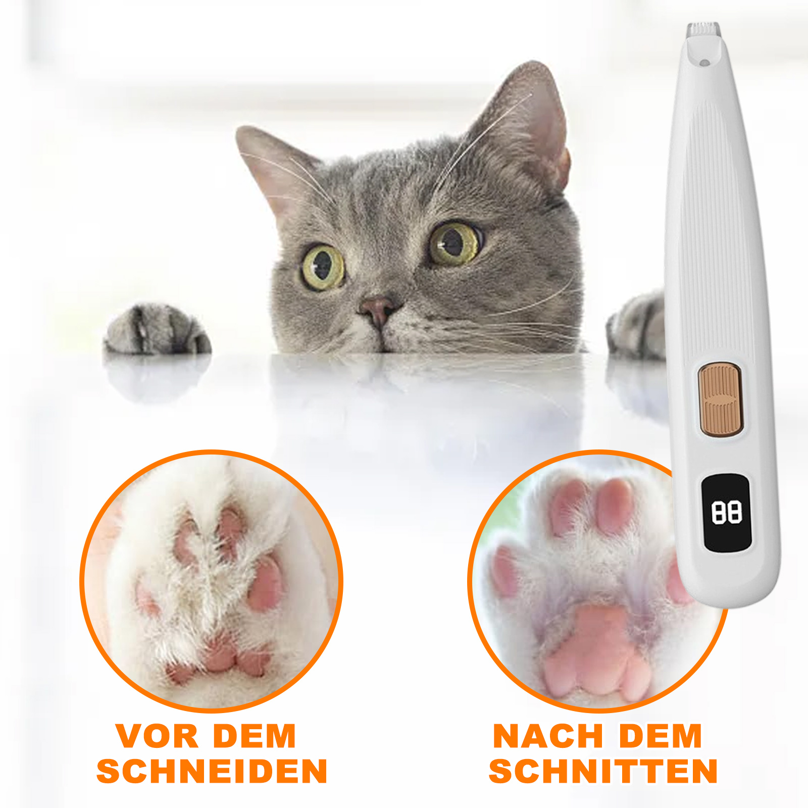 Eine Katze schaut über eine weiße Oberfläche. Darunter Vorher-Nachher-Bilder einer Katzenpfote.