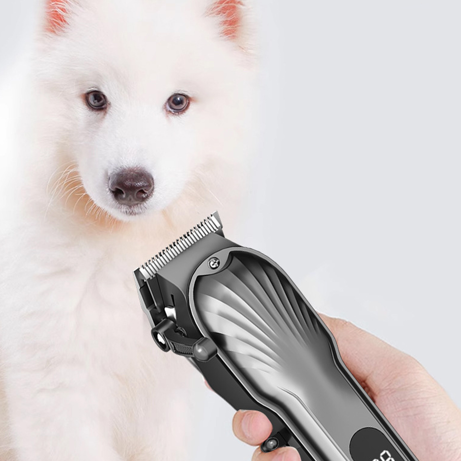 Ein Hund wird mit einer Schermaschine gepflegt, die Schermaschine und das Gesicht des Hundes zeigend.