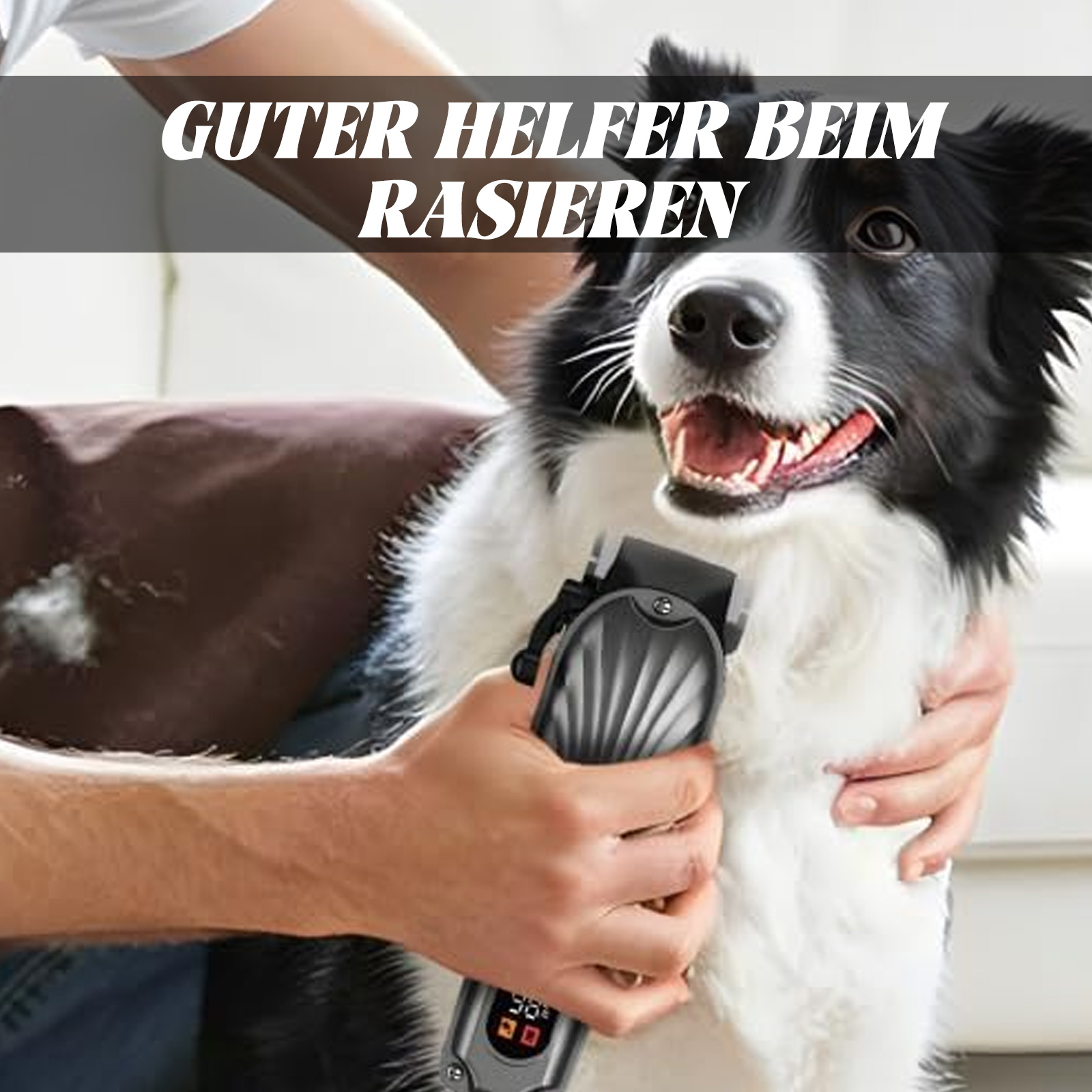 Eine Person pflegt einen Hund mit einem Haarschneider, mit Text darüber.