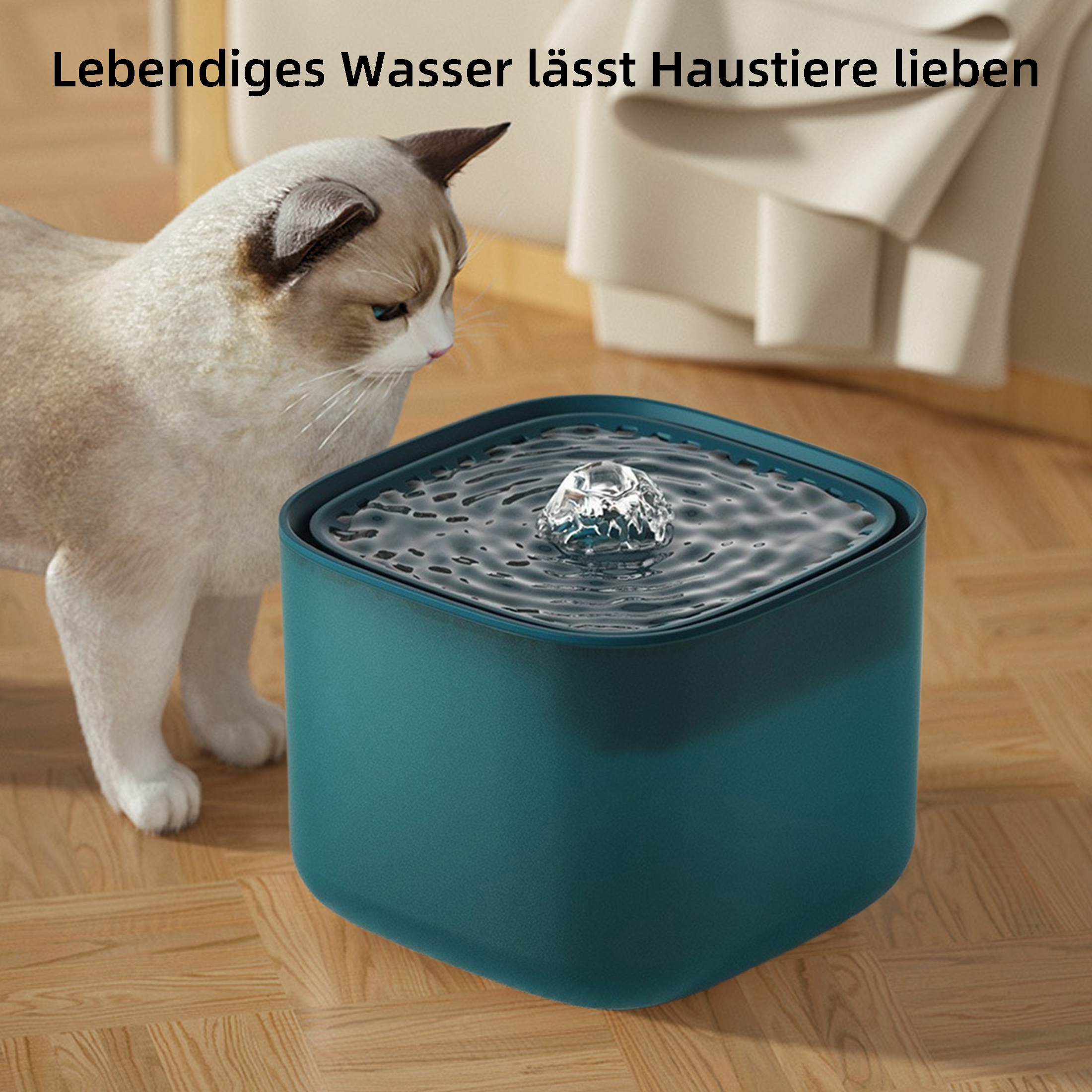 Katze, die einen türkisfarbenen Haustierbrunnen mit Wasser betrachtet.