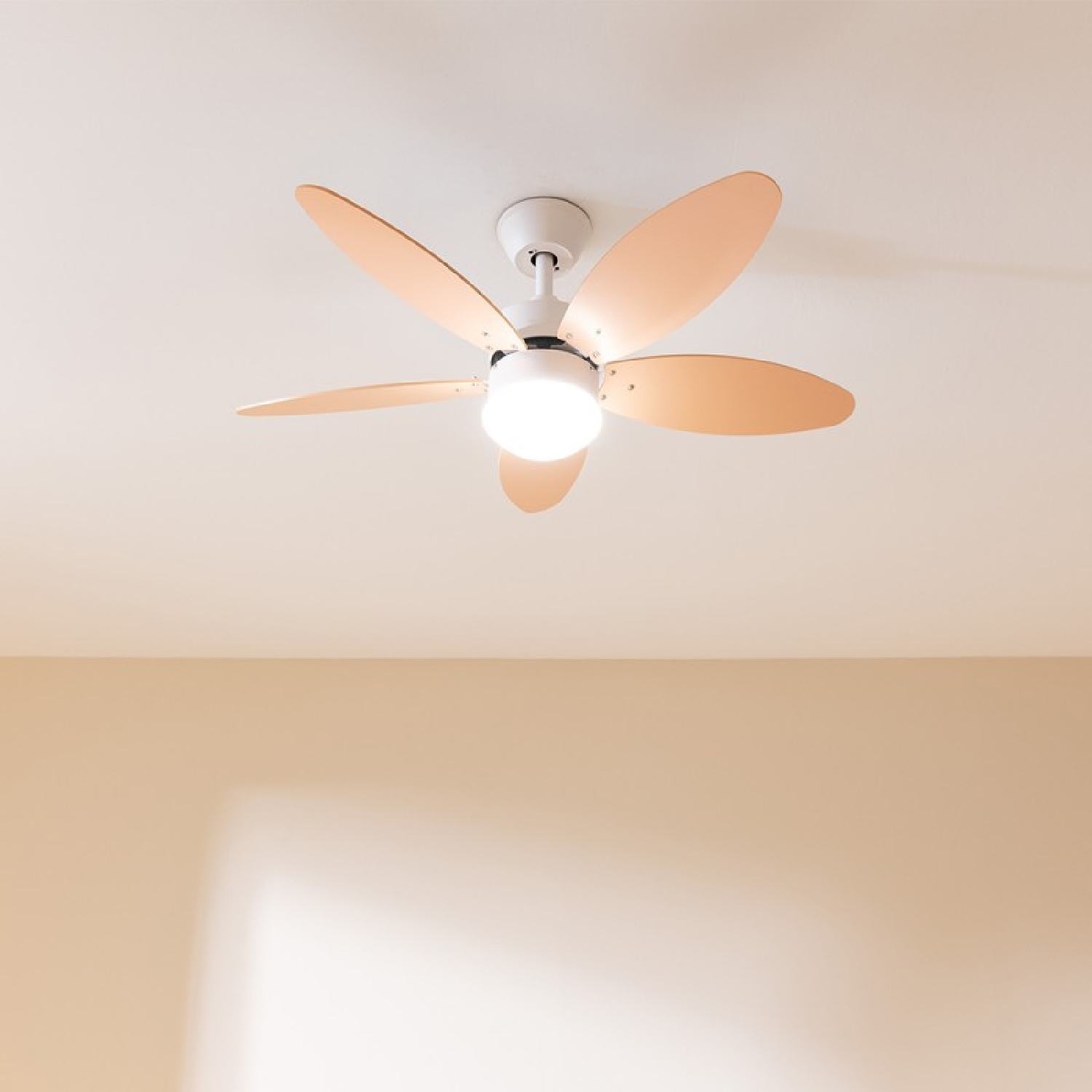 Un ventilatore a soffitto a cinque pale con un lampadario è montato su un soffitto bianco.