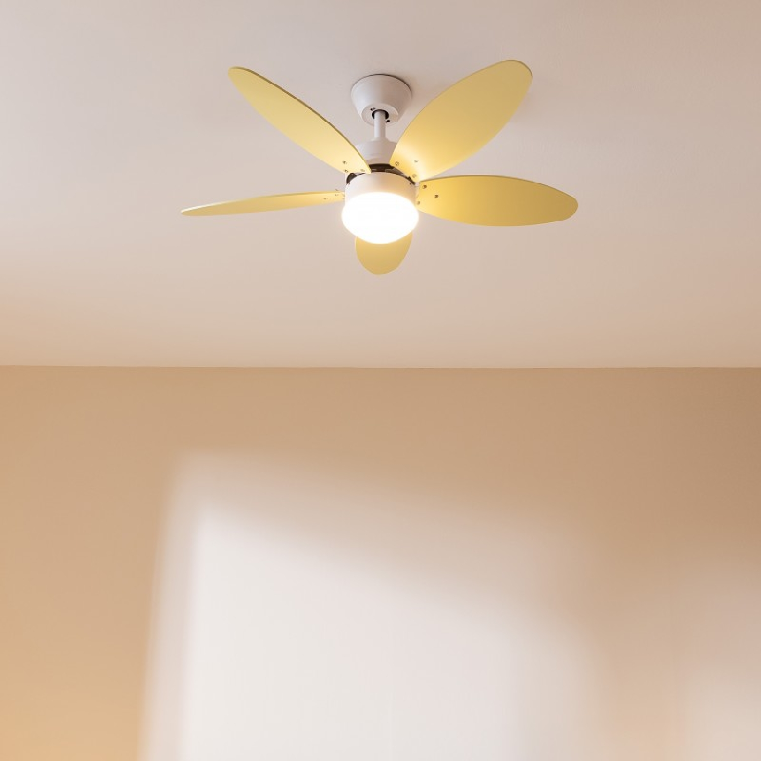 Un ventilatore a soffitto a cinque pale con un lampadario è montato su un soffitto bianco.