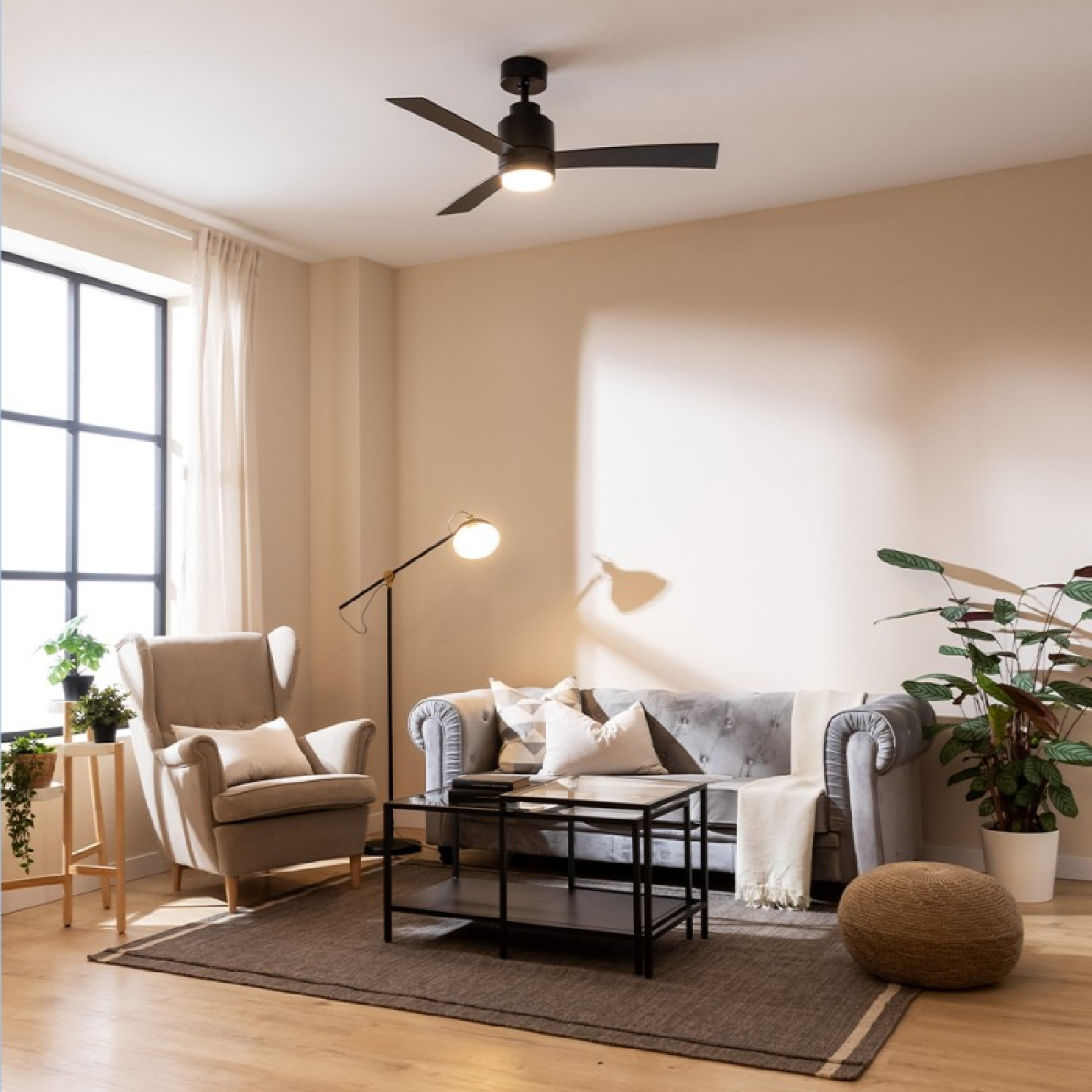 Salon z czarnym wentylatorem sufitowym, szarą sofą i dużym oknem. Zawiera ciemny dywan i rośliny.