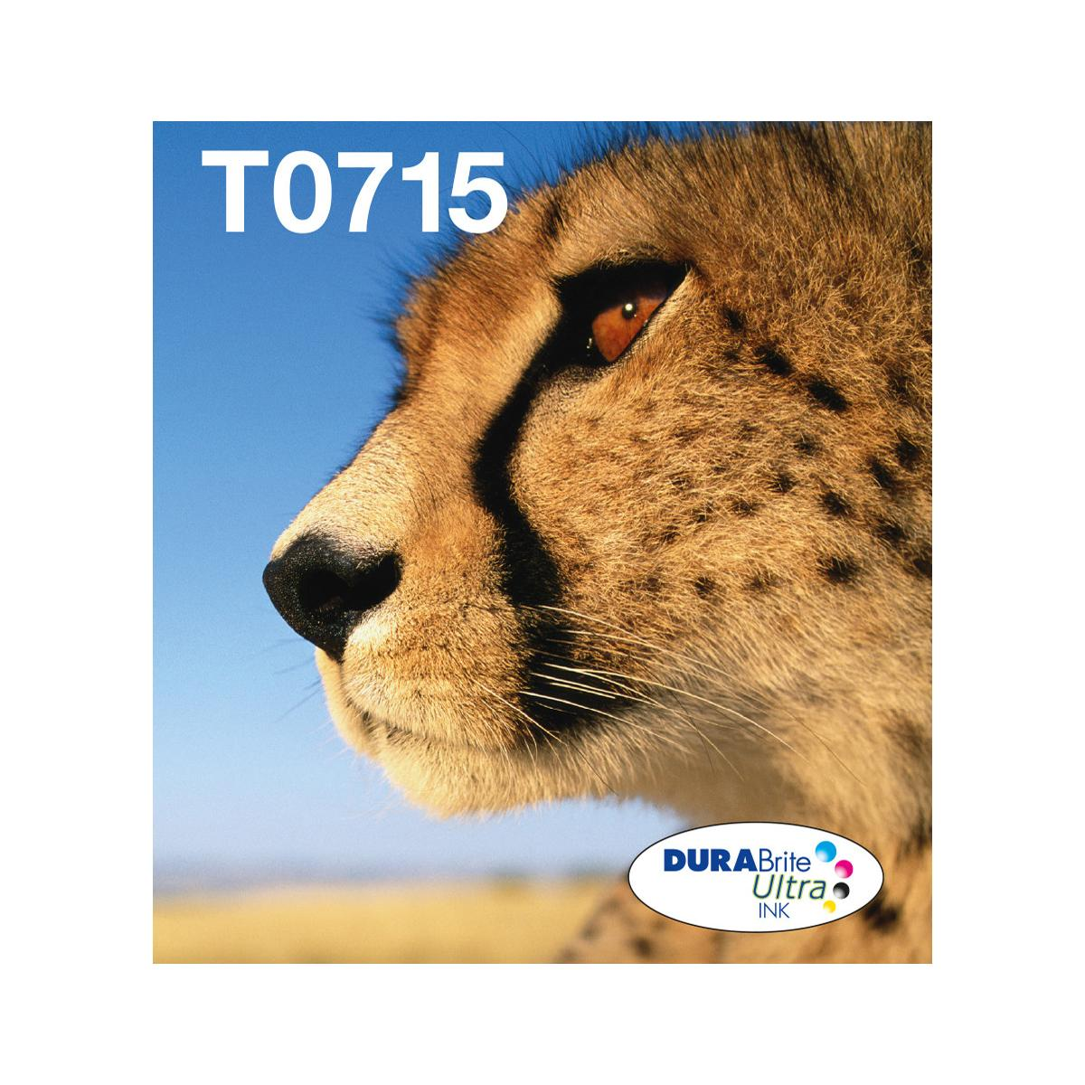 Zbliżenie twarzy geparda na tle błękitnego nieba. Tekst T0715 jest napisany.