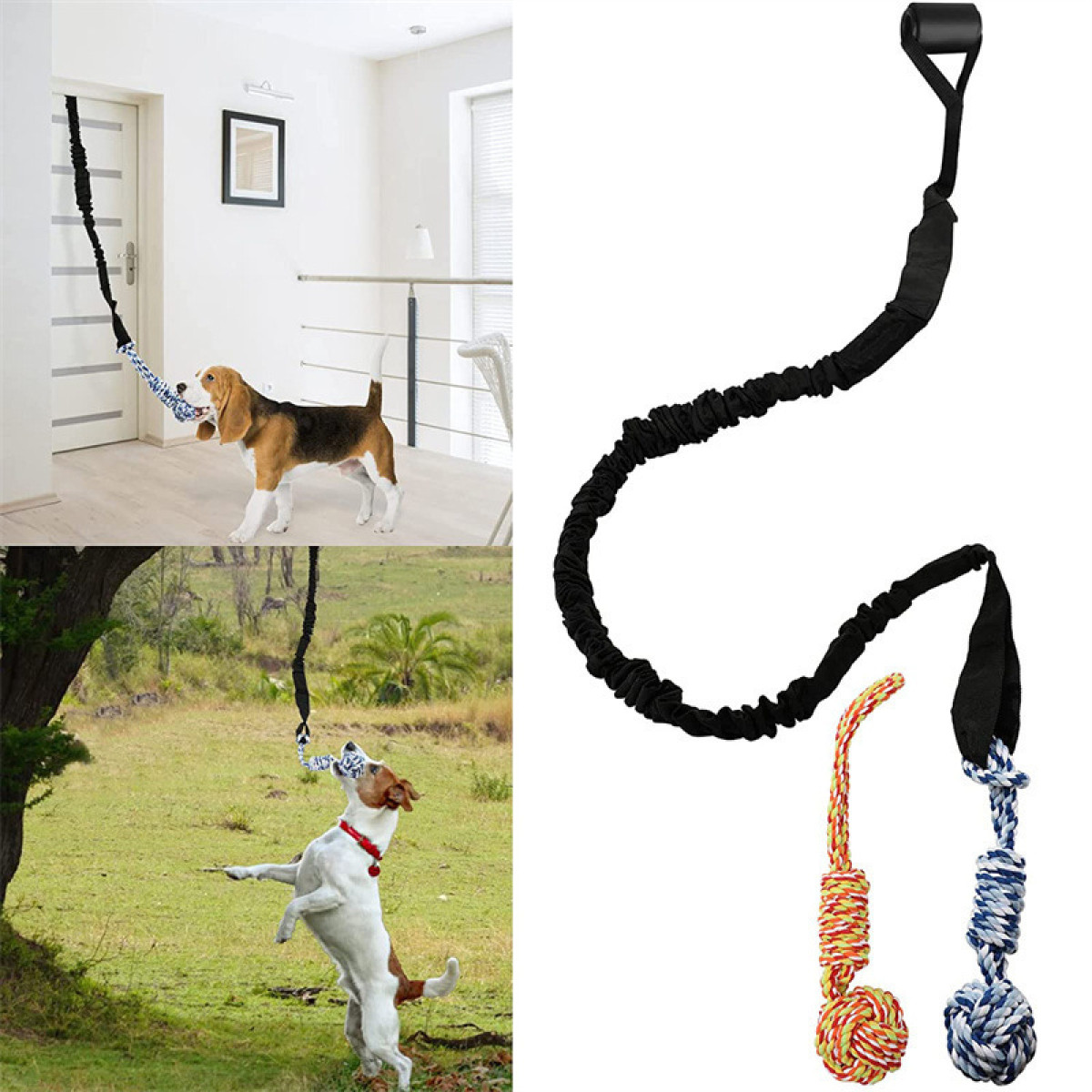 Dogs playing with a black rope toy. One dog is near a door, another is in a field.