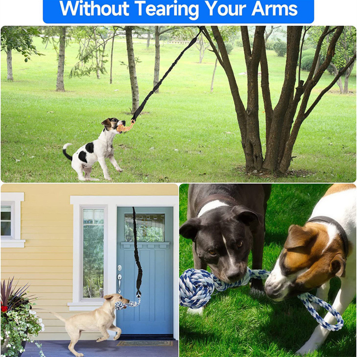 Dogs playing with rope toys. One dog is near a door, another in a field. Text: Without Tearing Your Arms.