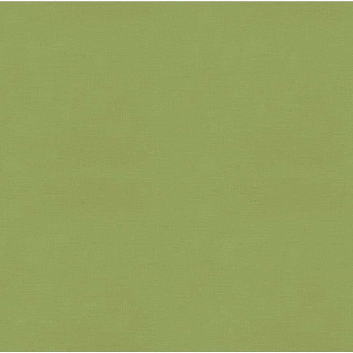 Uno sfondo verde uniforme. Il colore è un verde chiaro e attenuato.