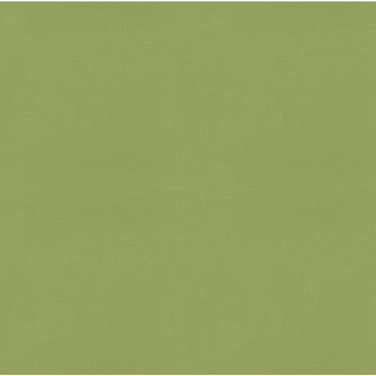 Sfondo verde chiaro, tinta unita, semplice e uniforme.