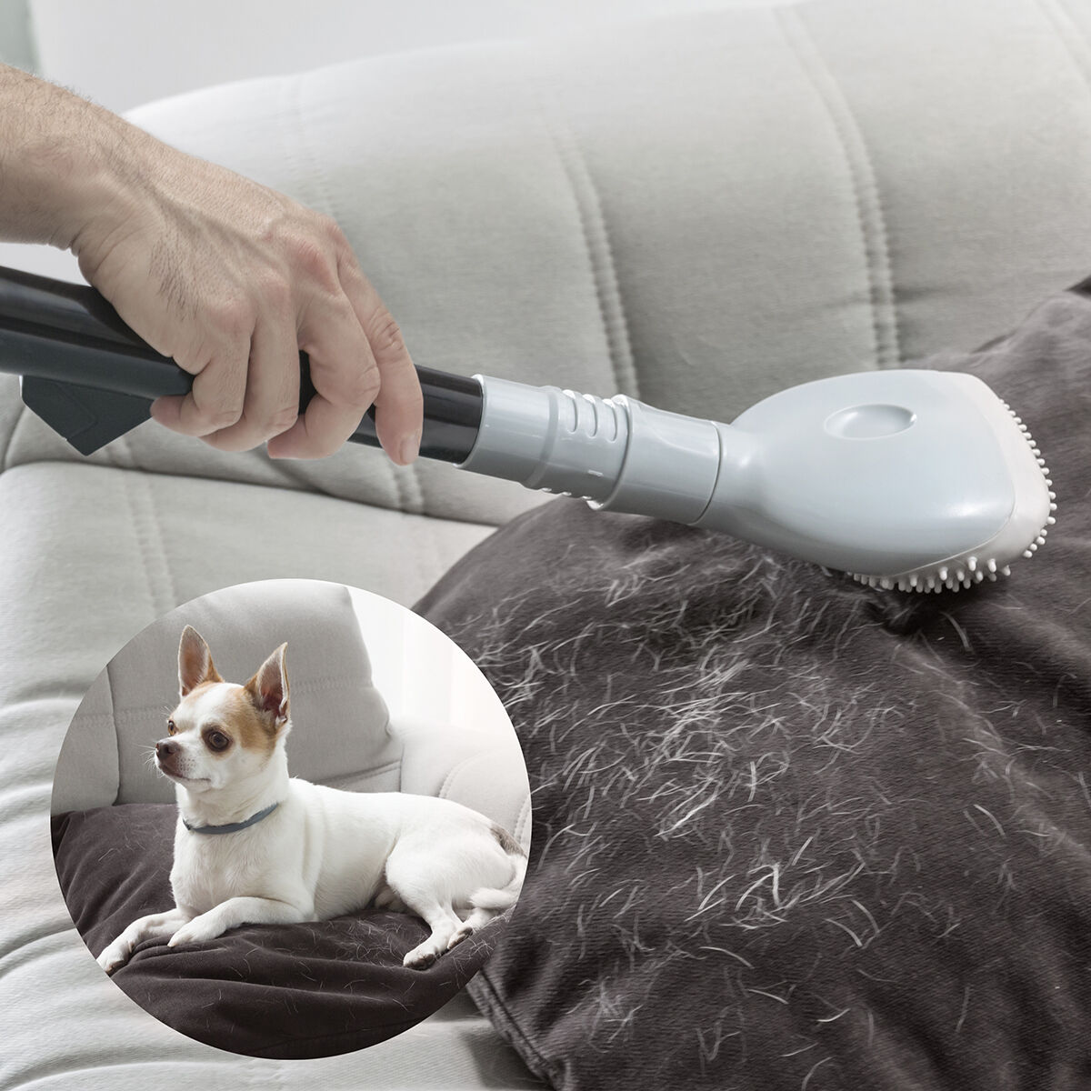 Hand benutzt ein graues Polsterwerkzeug, um Tierhaare von einem grauen Sofa zu entfernen.