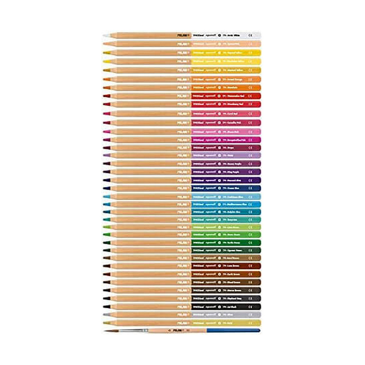 Eine Sammlung von Buntstiften in vertikaler Anordnung. Verschiedene Farben sind sichtbar.