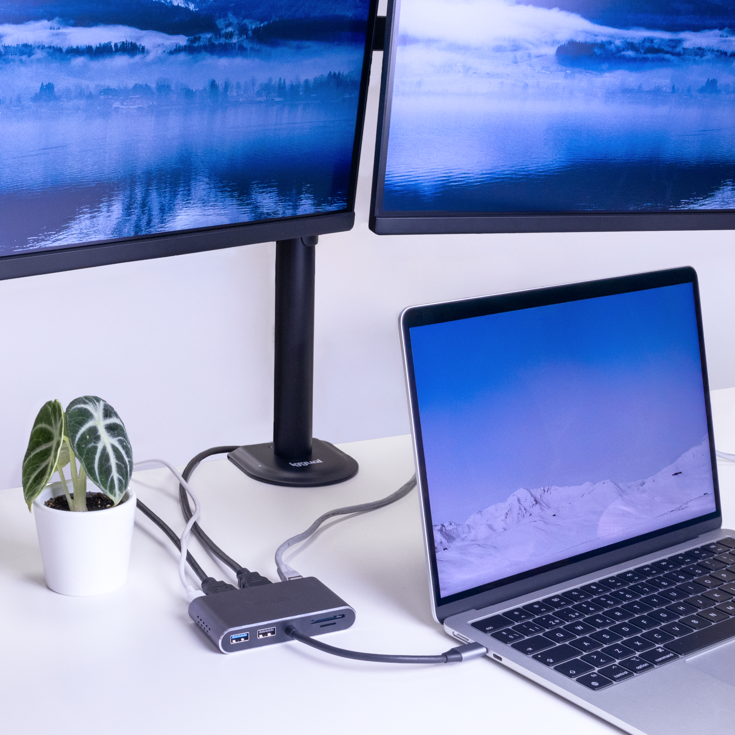 Laptop podłączony do dwóch monitorów przez adapter. Widoczna roślina i biurko. Dobrze oświetlone.