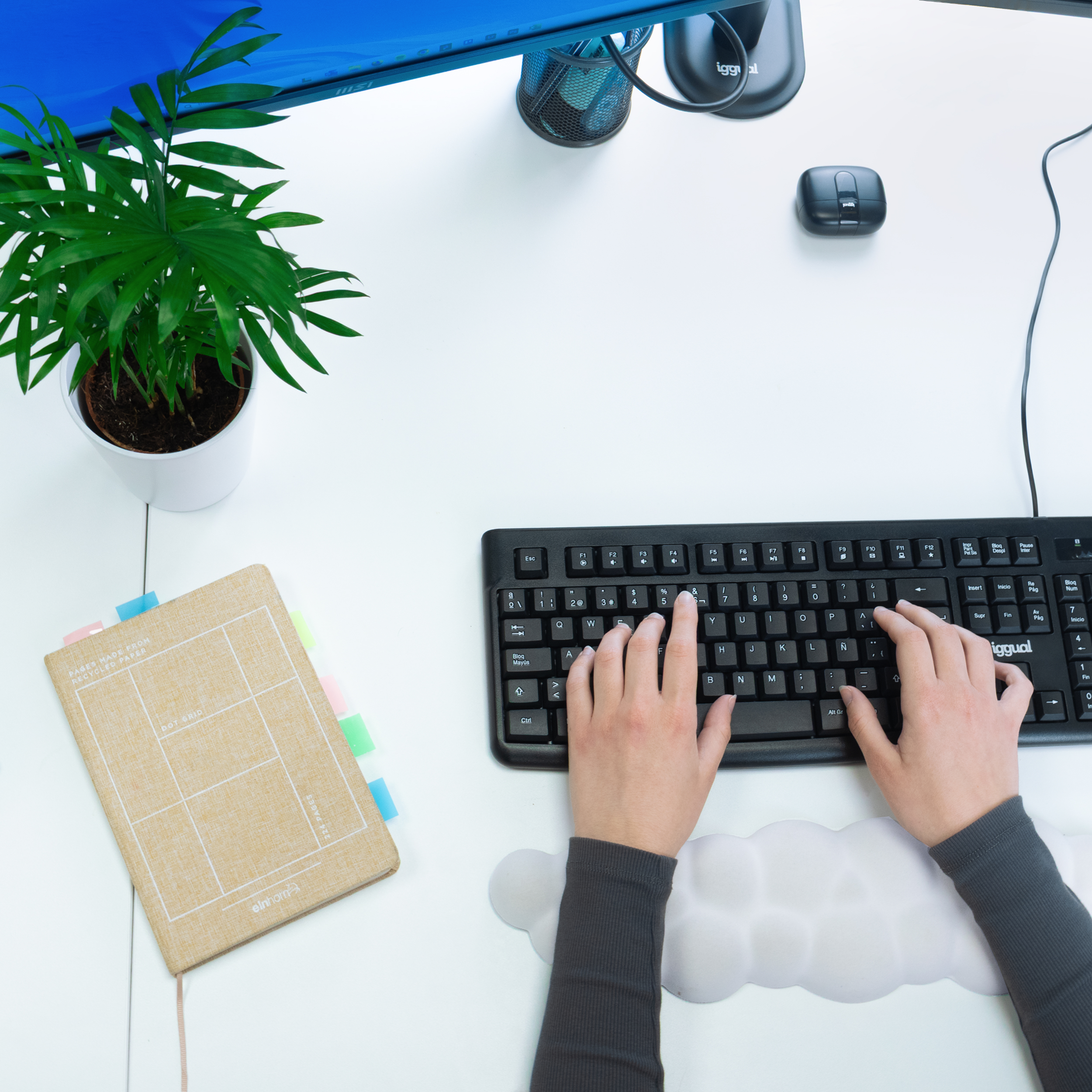 Manos tecleando en un teclado negro sobre un escritorio blanco. Planta, bloc de notas y ratón visibles.