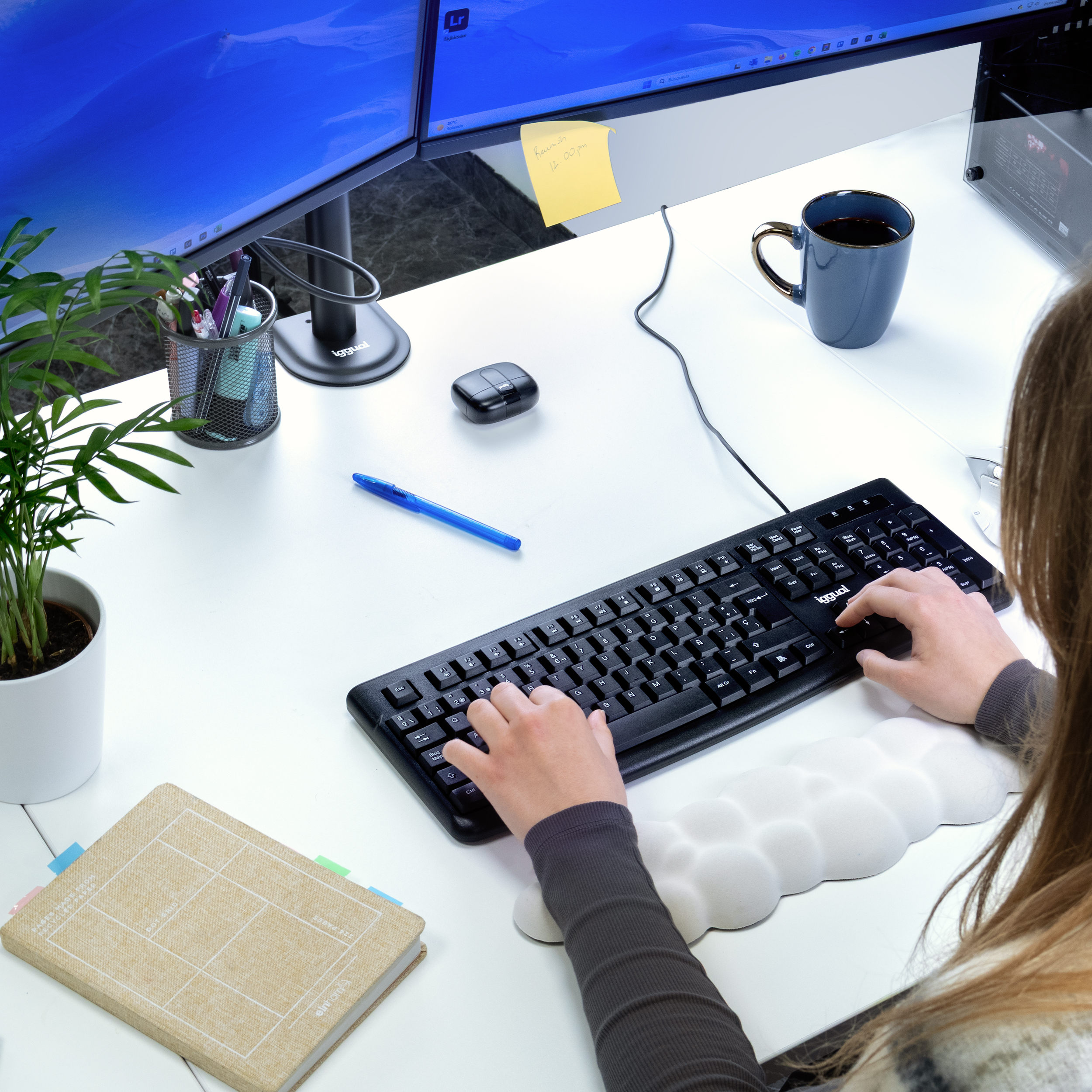Mujer tecleando en un teclado. Dos monitores, planta, bloc de notas y ratón en el escritorio.