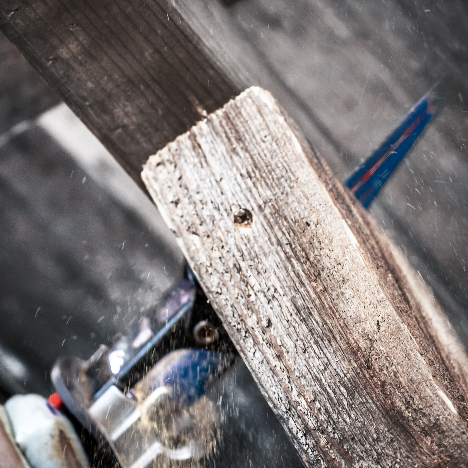 Piła tnie zwietrzałe drewno, generując trociny. Widoczne jest niebiesko-czerwone ostrze piły. Scena jest w pomieszczeniu.