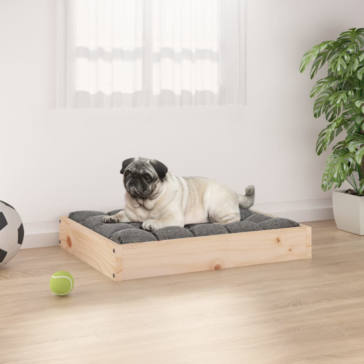 Ein Mops liegt auf einem Hundebett. Ein Tennisball und ein Fußball liegen auf dem Boden. Im Hintergrund sind eine Pflanze und ein Fenster.