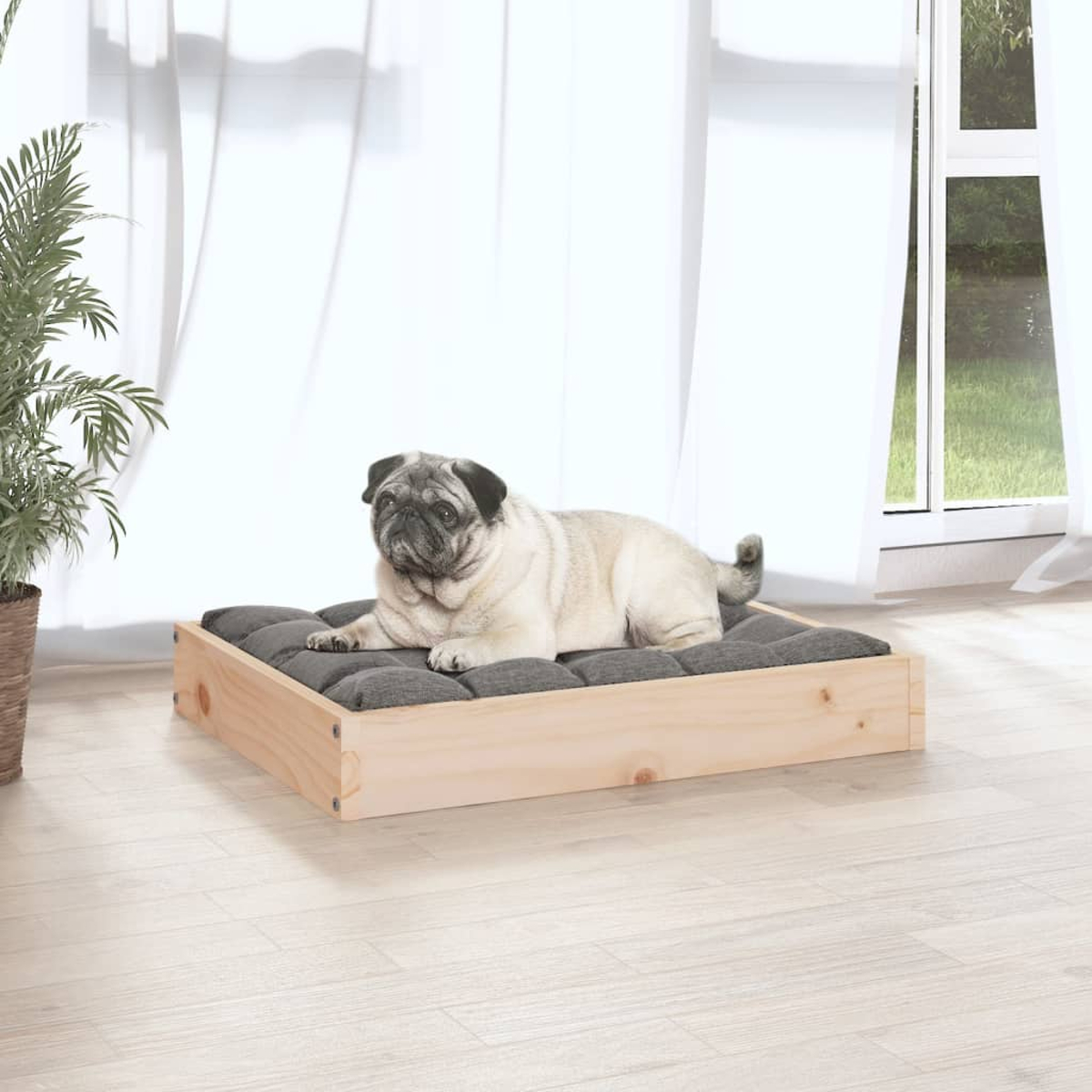 Ein beiger Mops liegt auf einem grauen Kissenbett in einem Holzrahmen. Links ist eine Pflanze, im Hintergrund ein Fenster und Vorhänge.