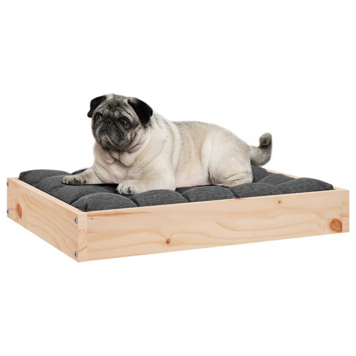 Ein Mops liegt auf einem grauen Kissen in einem hölzernen Bettrahmen. Er hat schwarze Ohren und einen geringelten Schwanz. Der Hintergrund ist weiß.