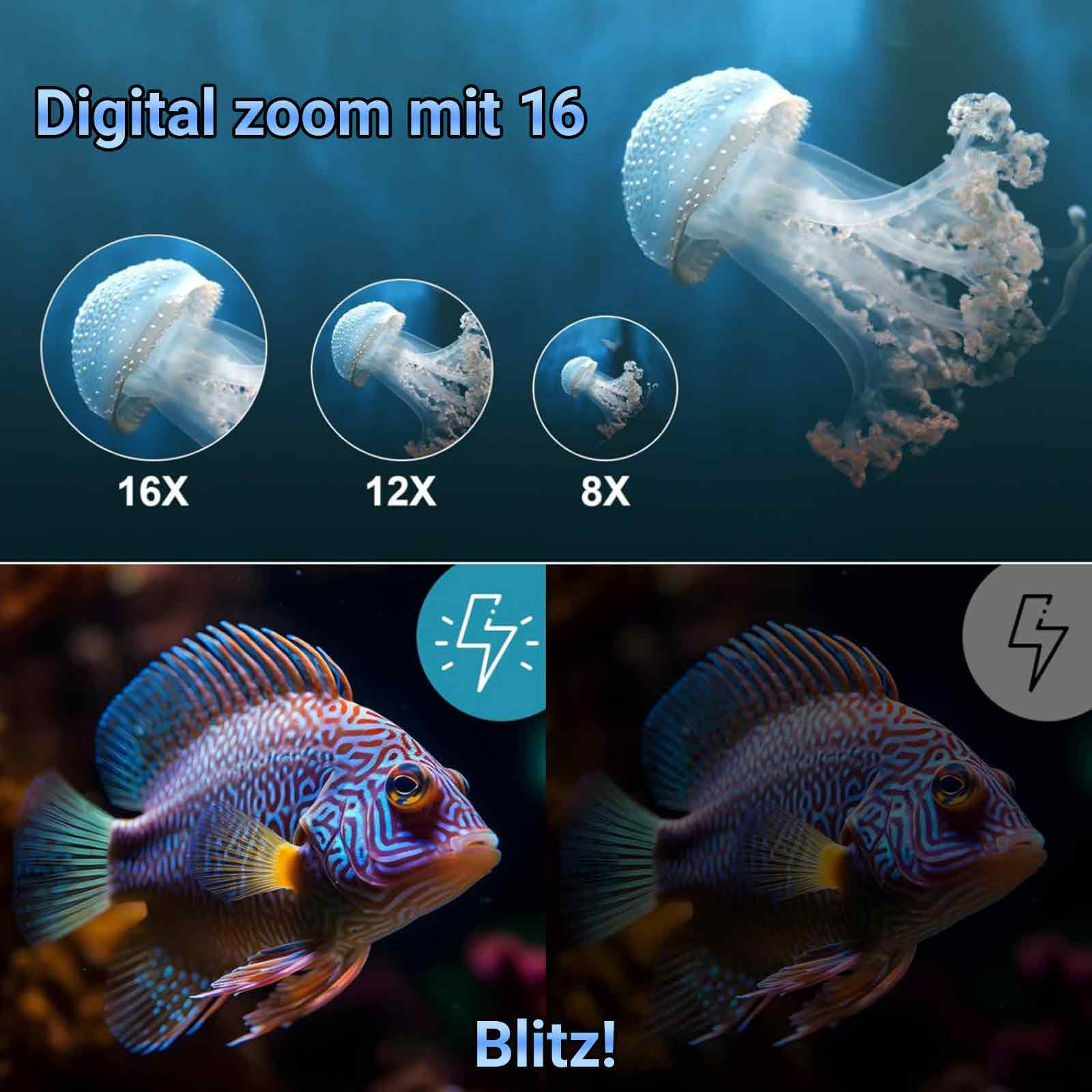 Das Bild zeigt Quallen mit verschiedenen Zoomstufen und einen Fisch mit dem Wort 'Blitz!'. 