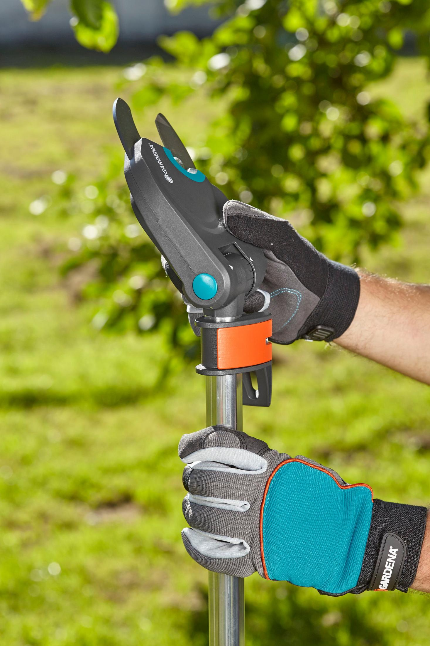 Hände mit Handschuhen halten Gartenscheren, grünes Gras und Baumhintergrund.