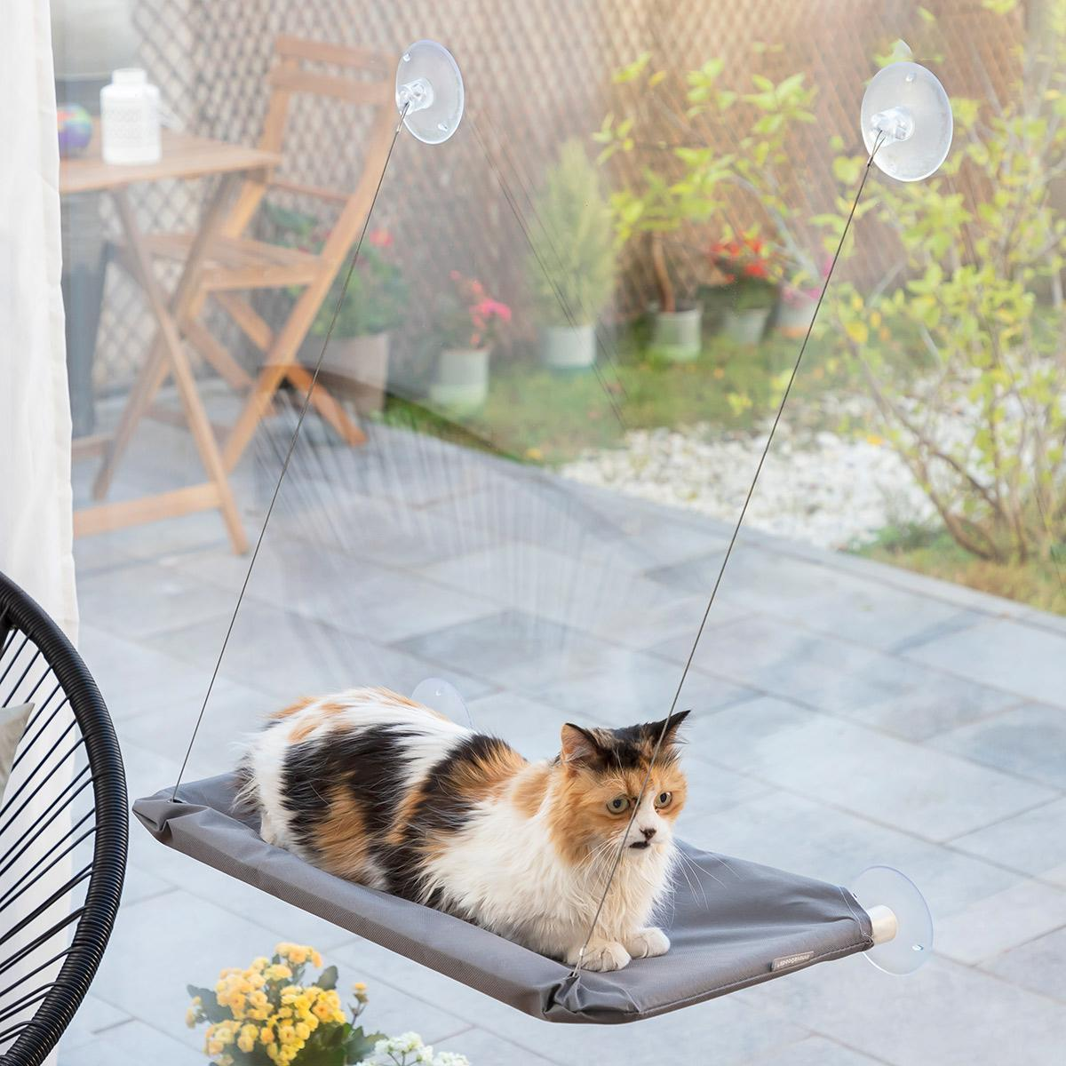 Un gato calicó está sentado en una cama colgante cerca de una ventana. El fondo muestra un jardín y una pequeña mesa.