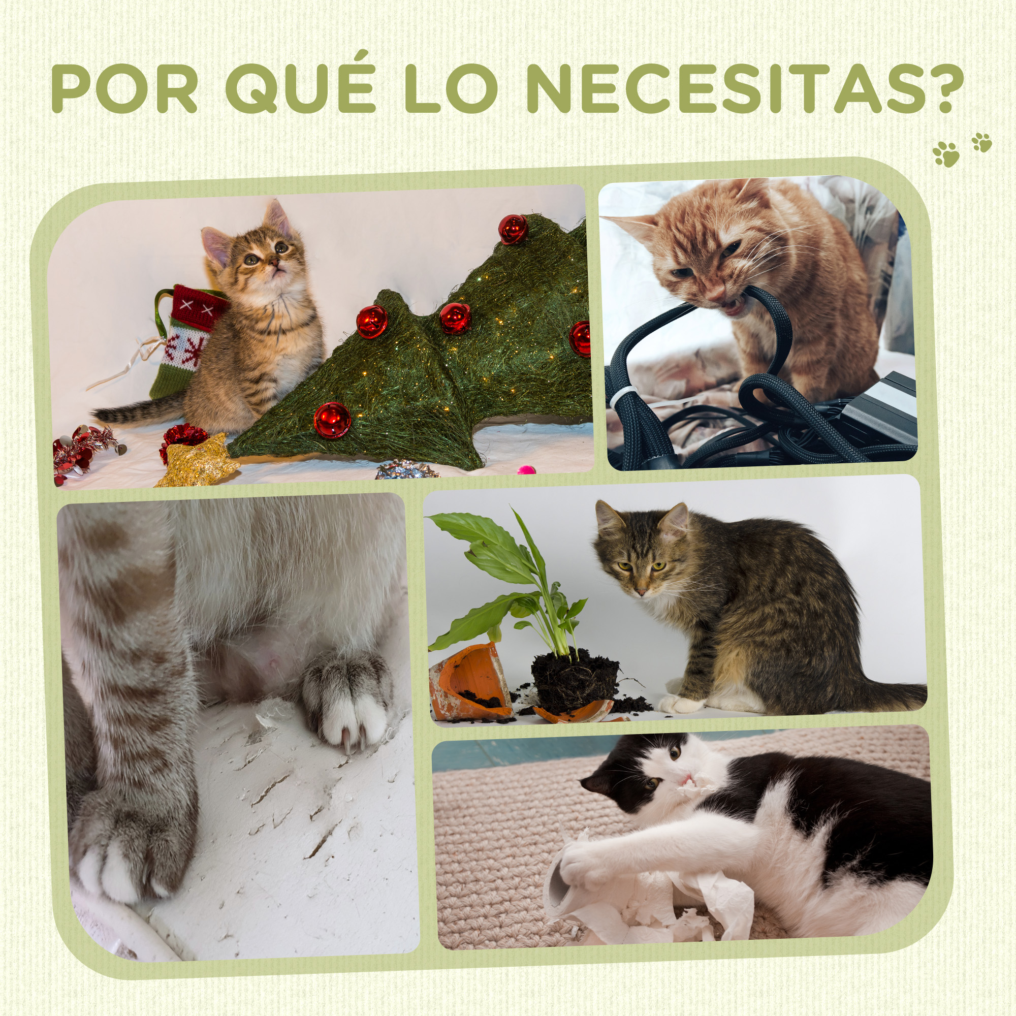 Gatos y daños: uno con árbol de Navidad, otro mordiendo cable, otro en maceta rota, y uno en papel.