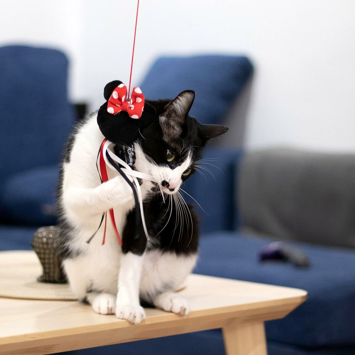 Un gatto che gioca con un giocattolo per gatti di Minnie Mouse. Il gatto è bianco e nero.