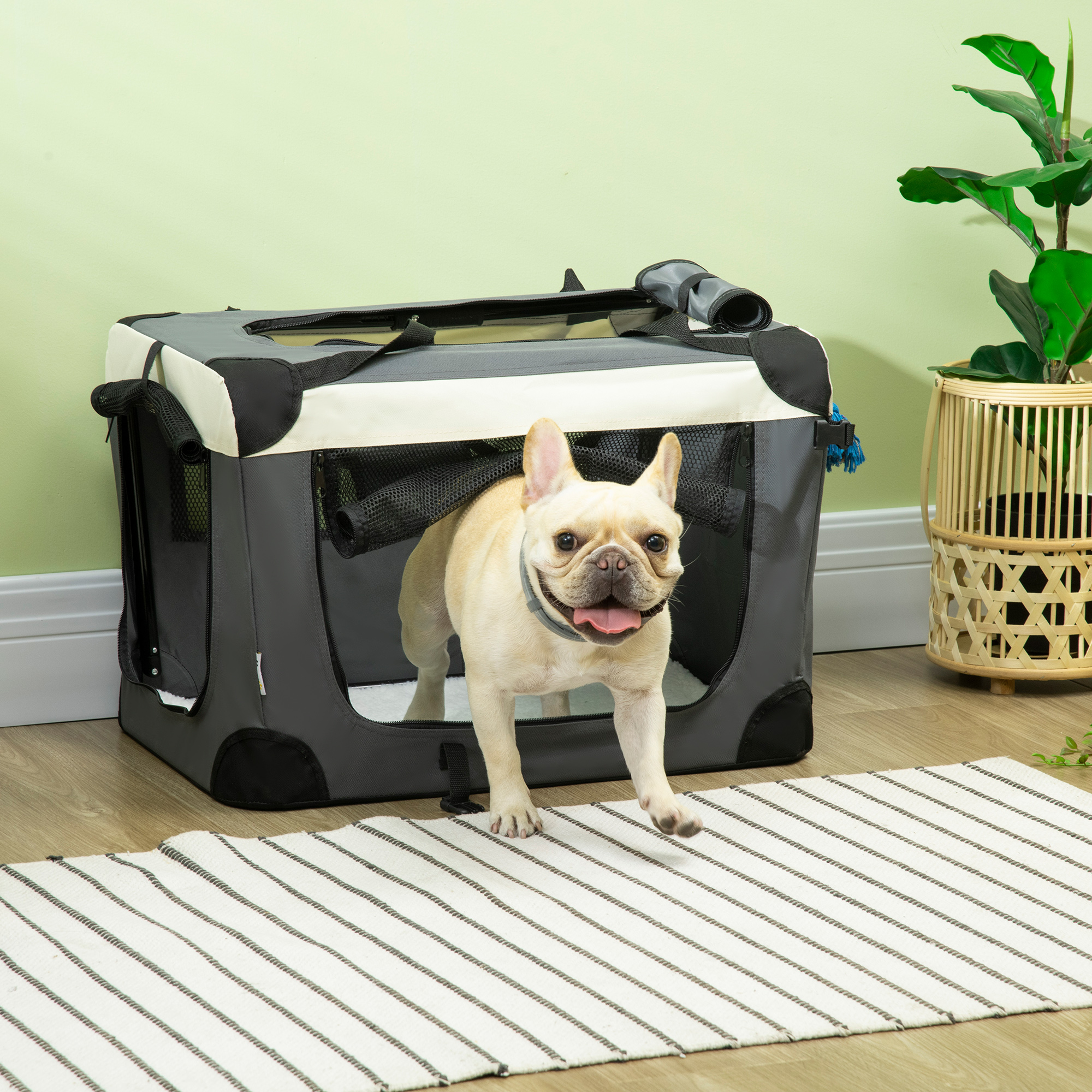 Un bulldog francés sale de un transportín gris y blanco. Debajo hay una alfombra en blanco y negro.