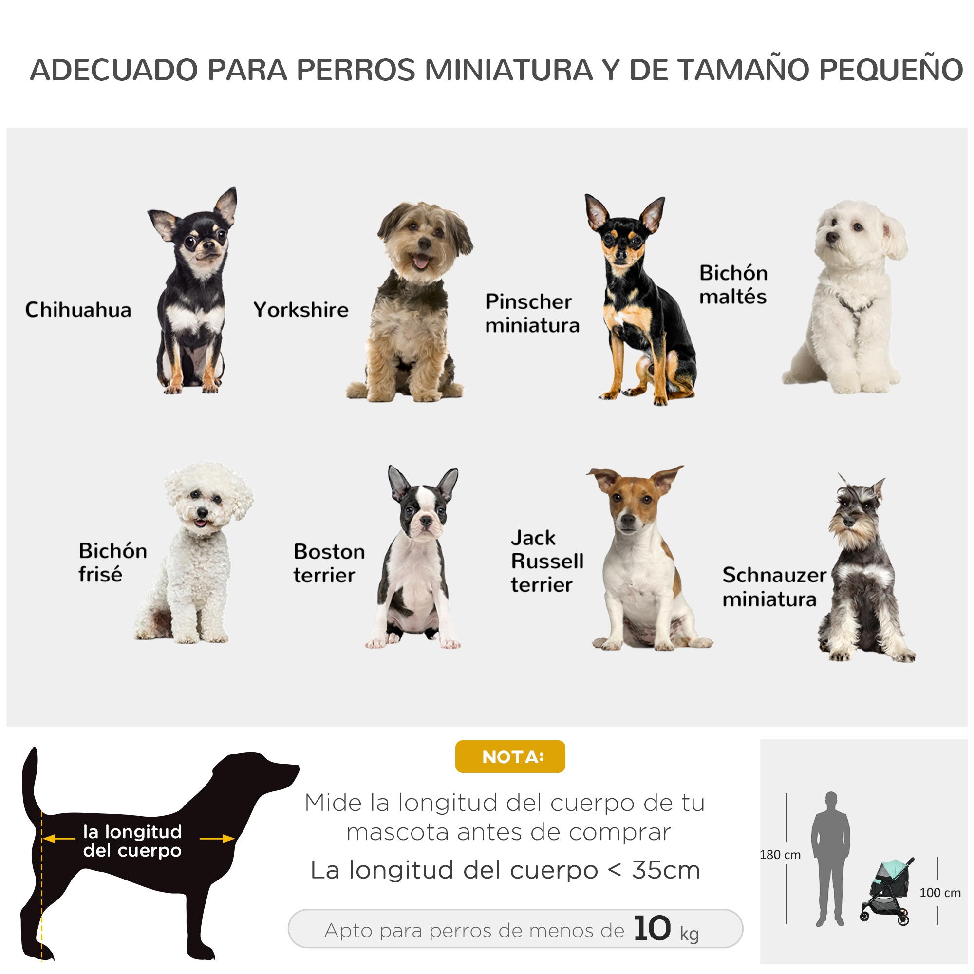 Ilustraciones de varias razas de perros pequeños con nombres, incluyendo Chihuahua, Yorkshire y otros, para mascotas.