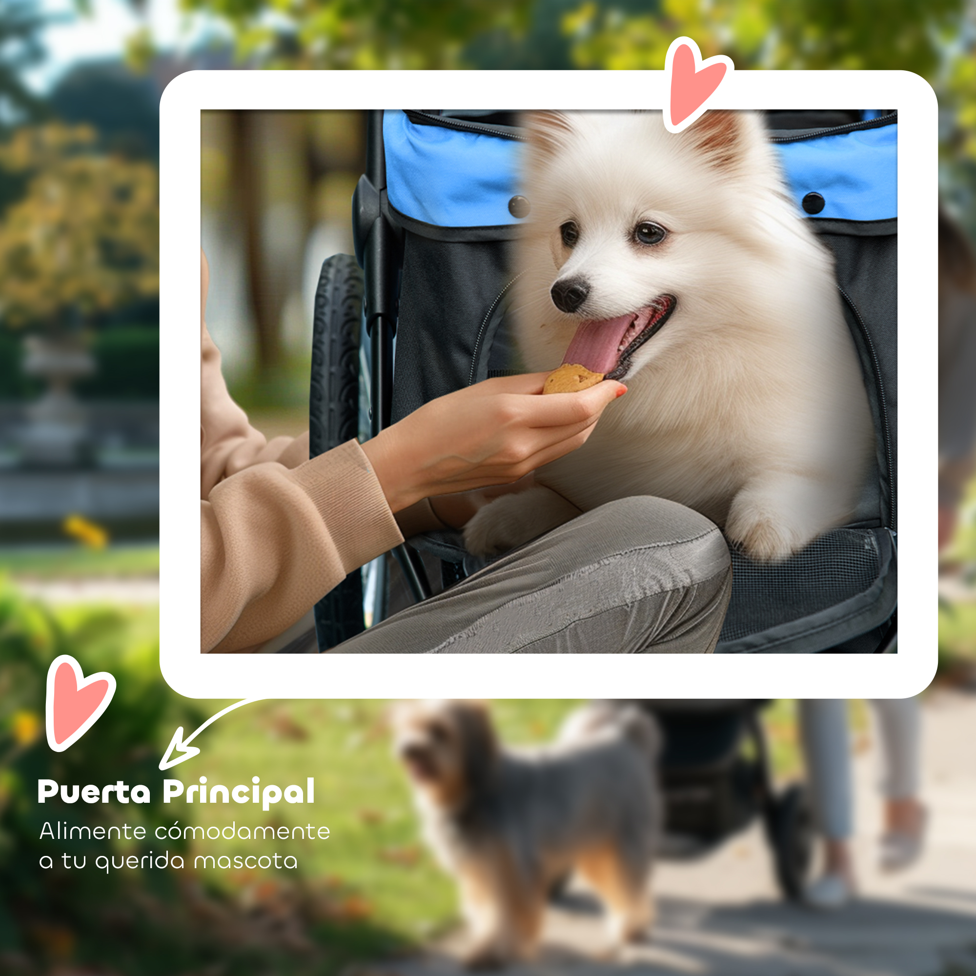 Un perro blanco está siendo alimentado con una golosina dentro de un cochecito azul y negro para mascotas. Se muestra la puerta principal.