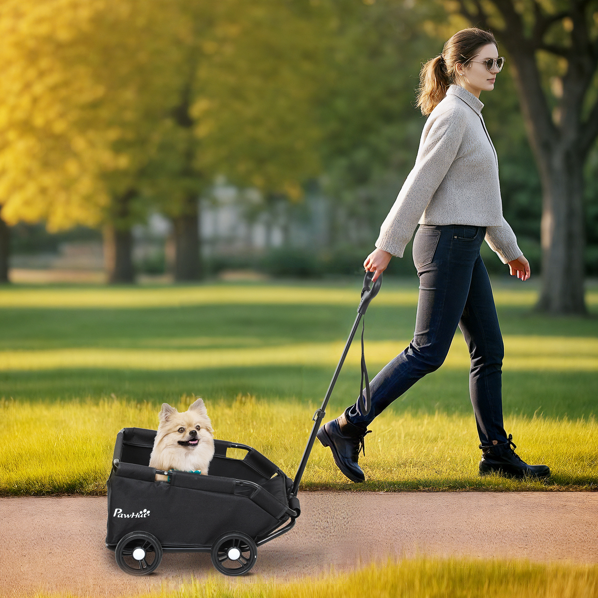 Mujer caminando con un cochecito negro para mascotas, perro adentro, en un camino del parque. Árboles verdes atrás.